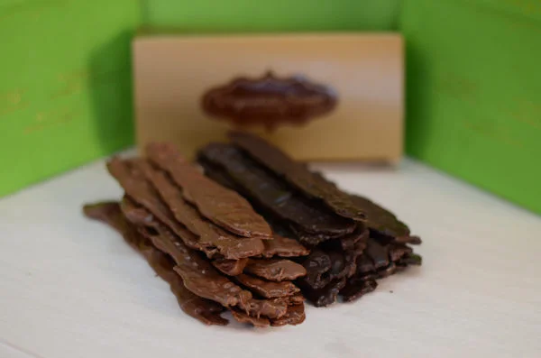 Chocolate Covered Bacon