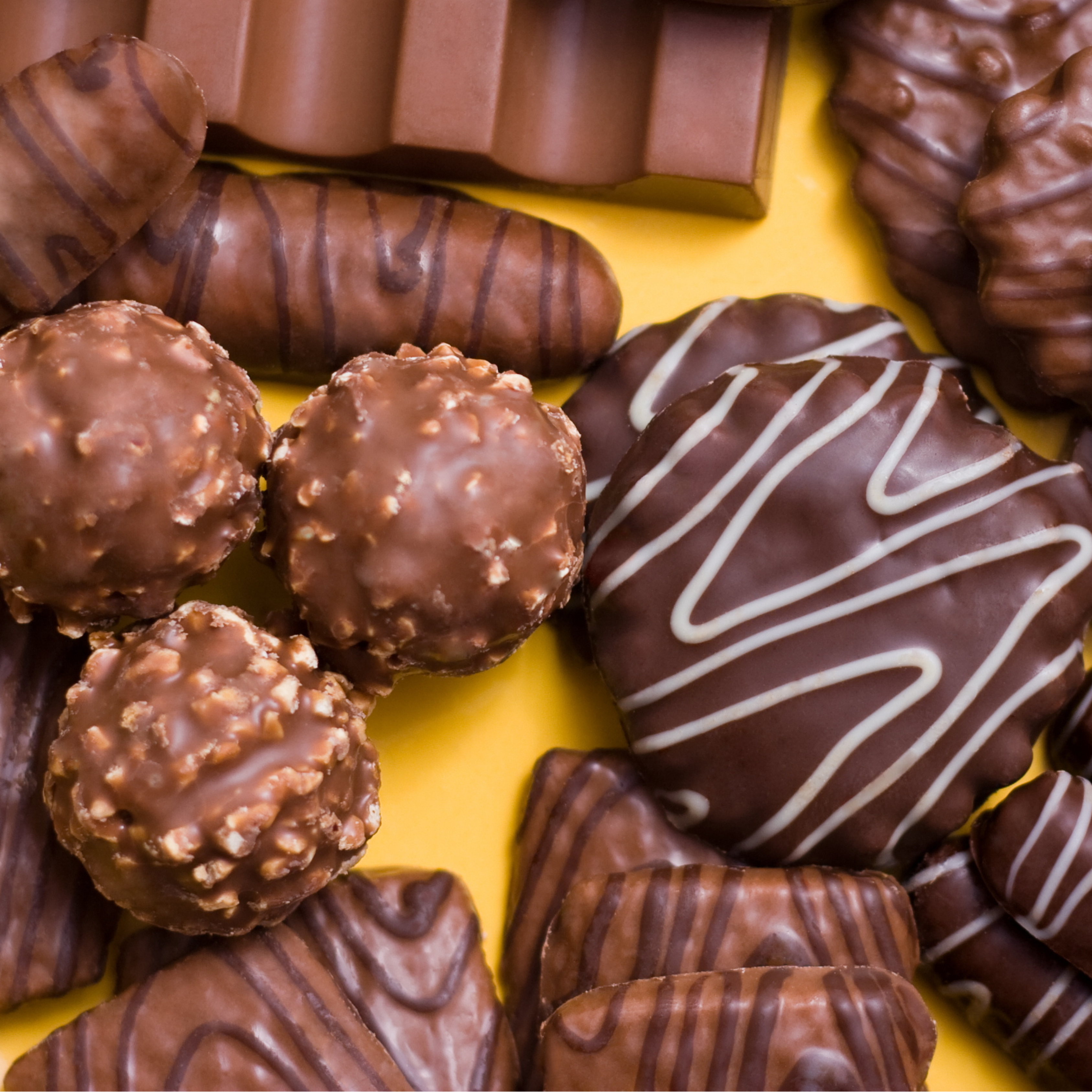 Gourmet Handcrafted Chocolates