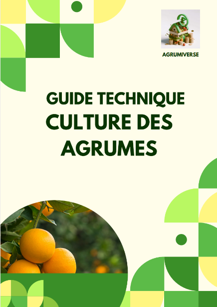 Agrumiverse - Guide Technique Culture des Agrumes