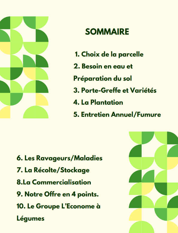 Agrumiverse - Guide Technique Culture des Agrumes