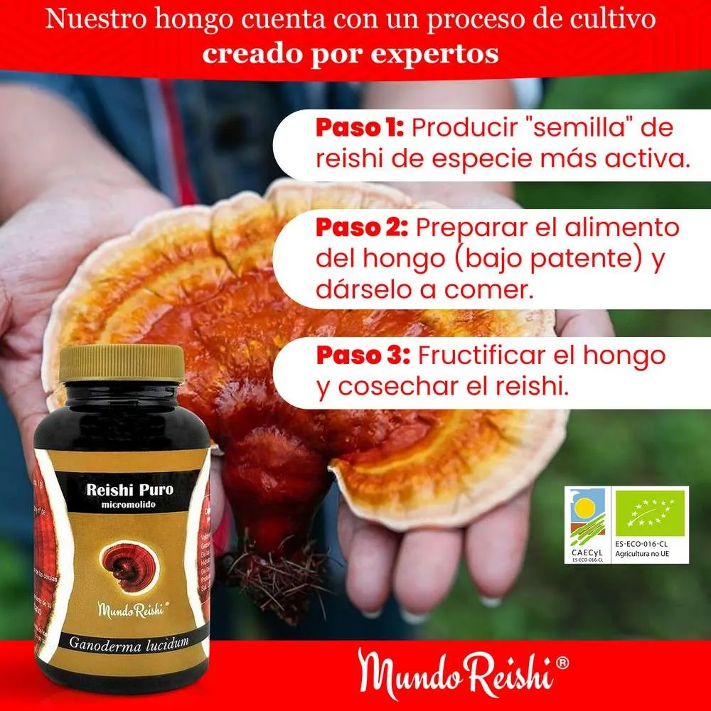 Reishi puro micromolido ecológico. 50g de polvo