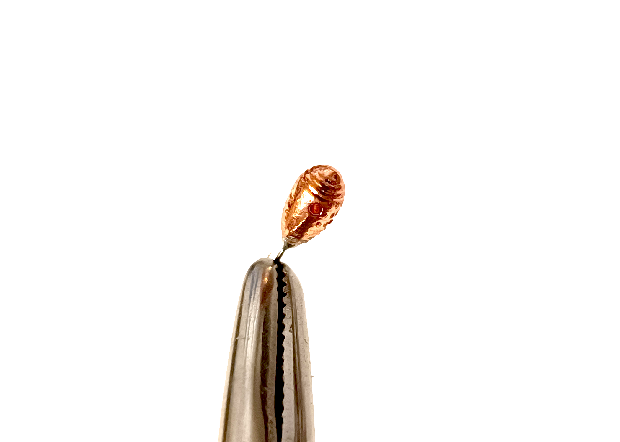 Lašas - Ringed (SIDABRAS)