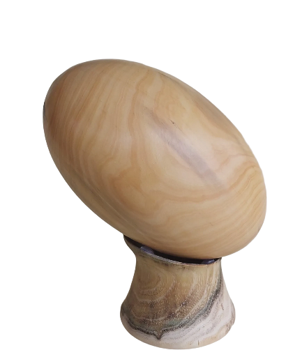 Ballon de Rugby en Buis