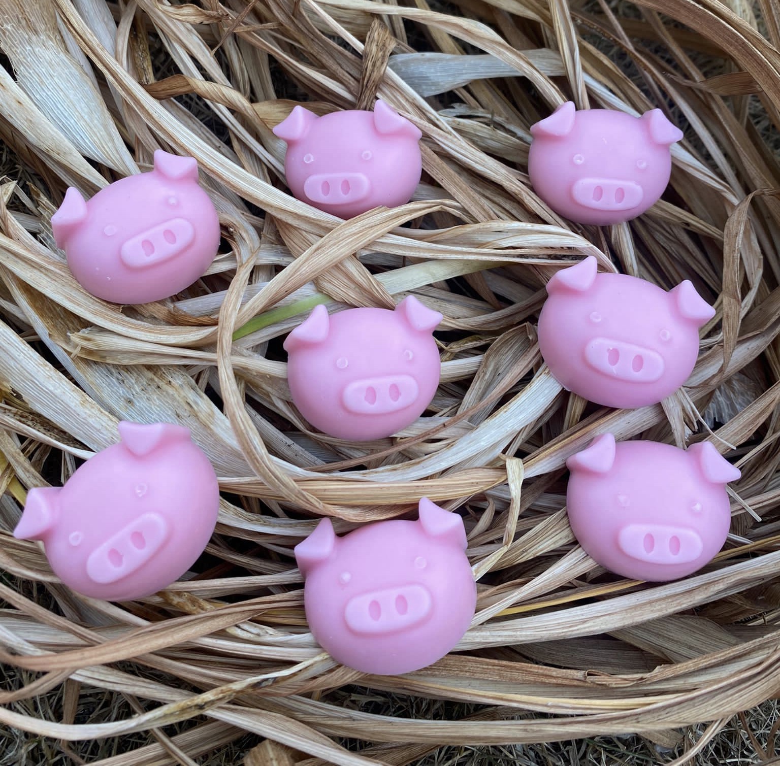 Wax Melt Pigs