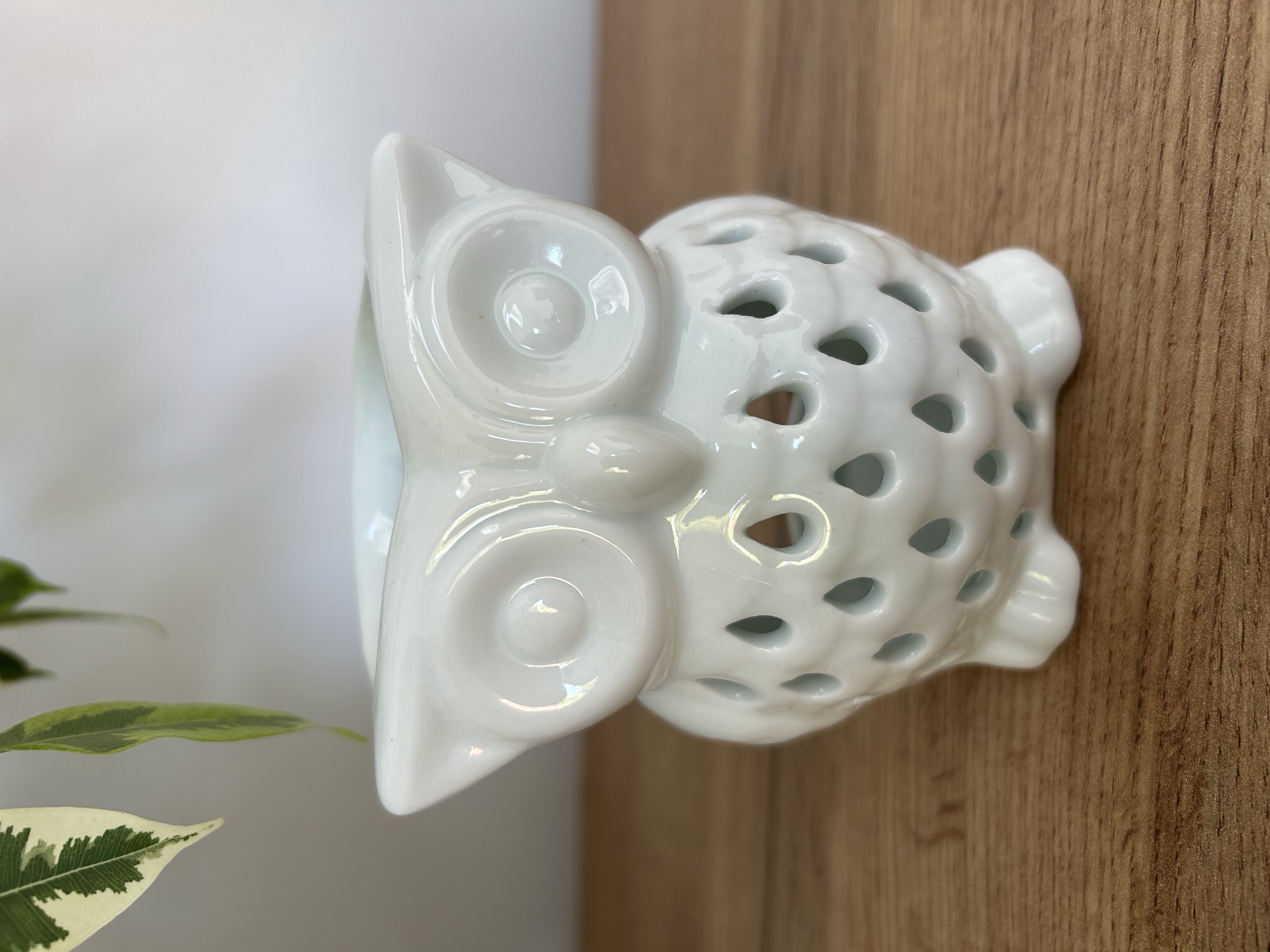 Owl Wax Melter
