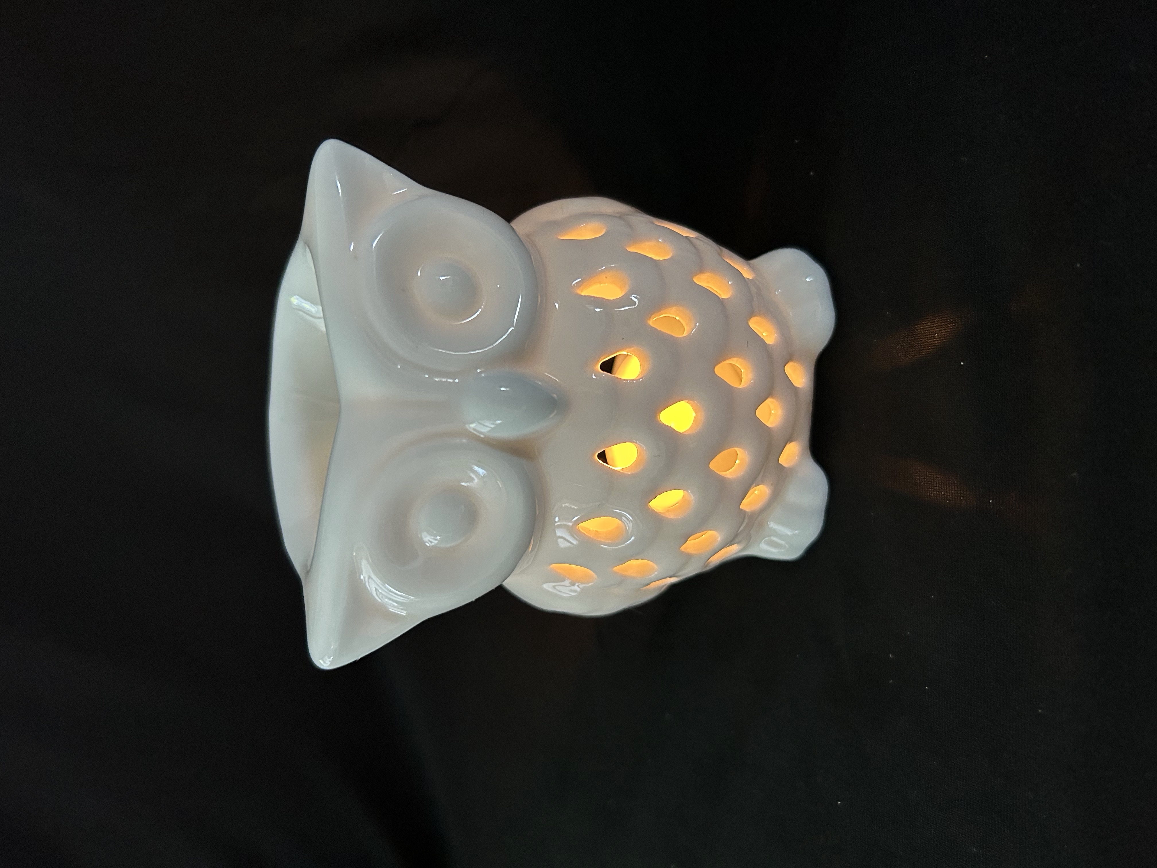 Owl Wax Melter