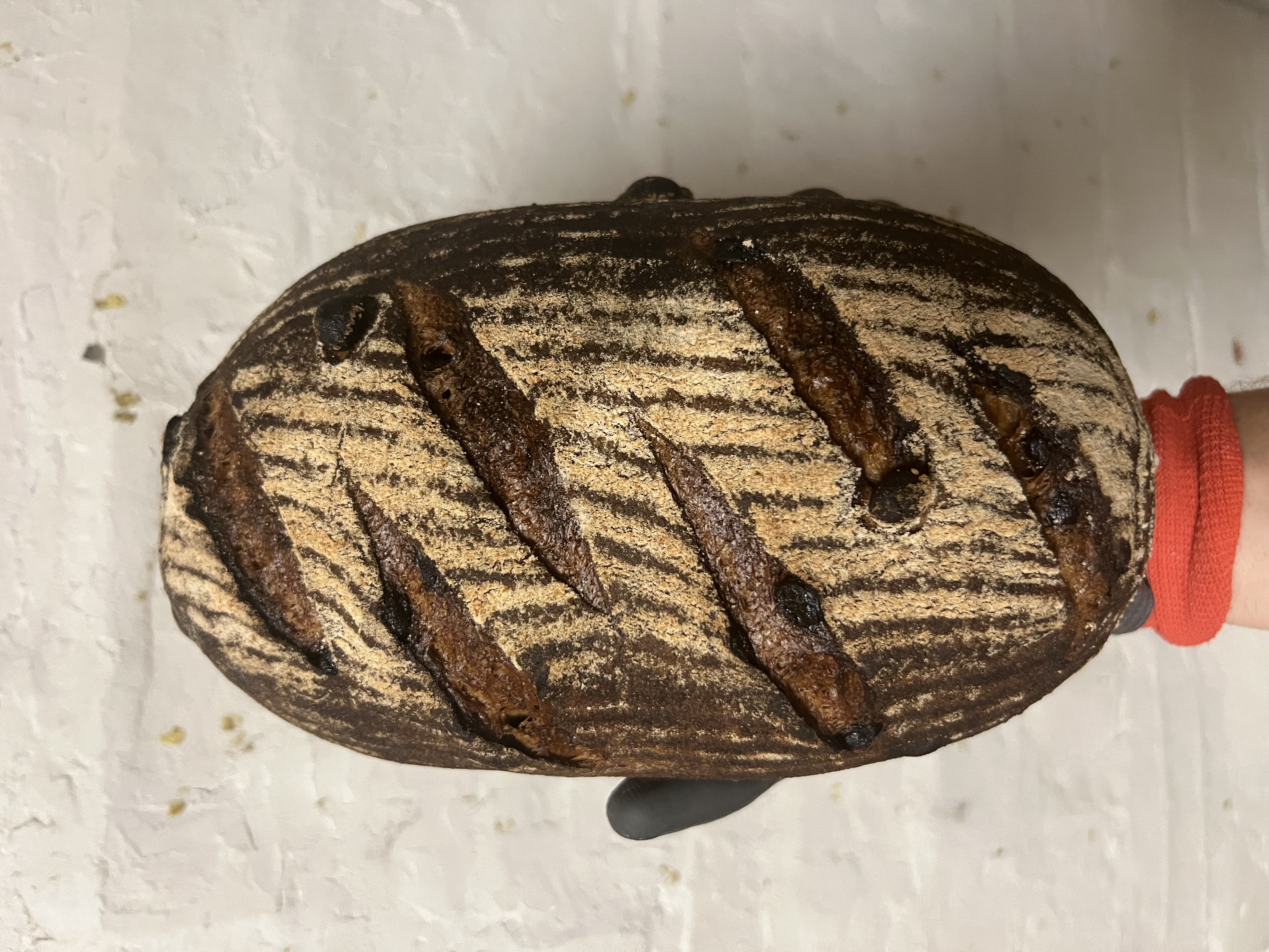 Whole Wheat Cinnamon Raisin
