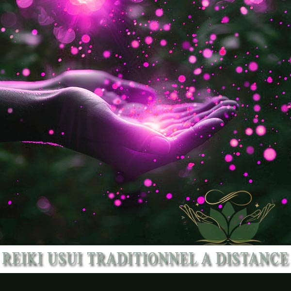 Séance REIKI USUI TRADITIONNEL avec Rose