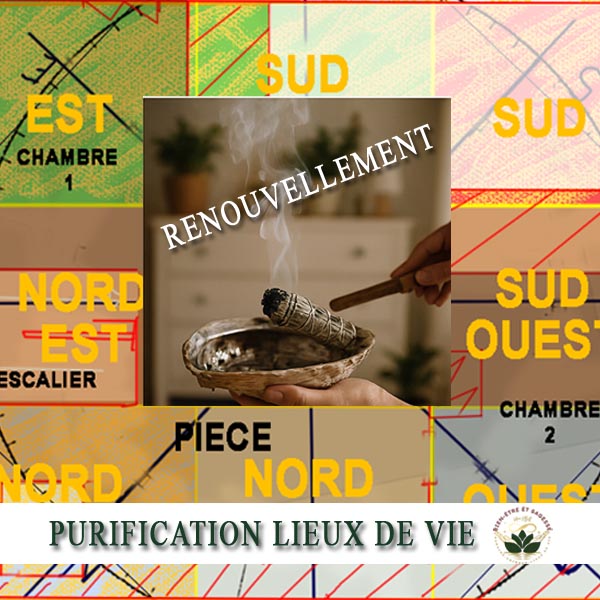 Soin Nettoyage Purification LIEU DE VIE - Renouvellement