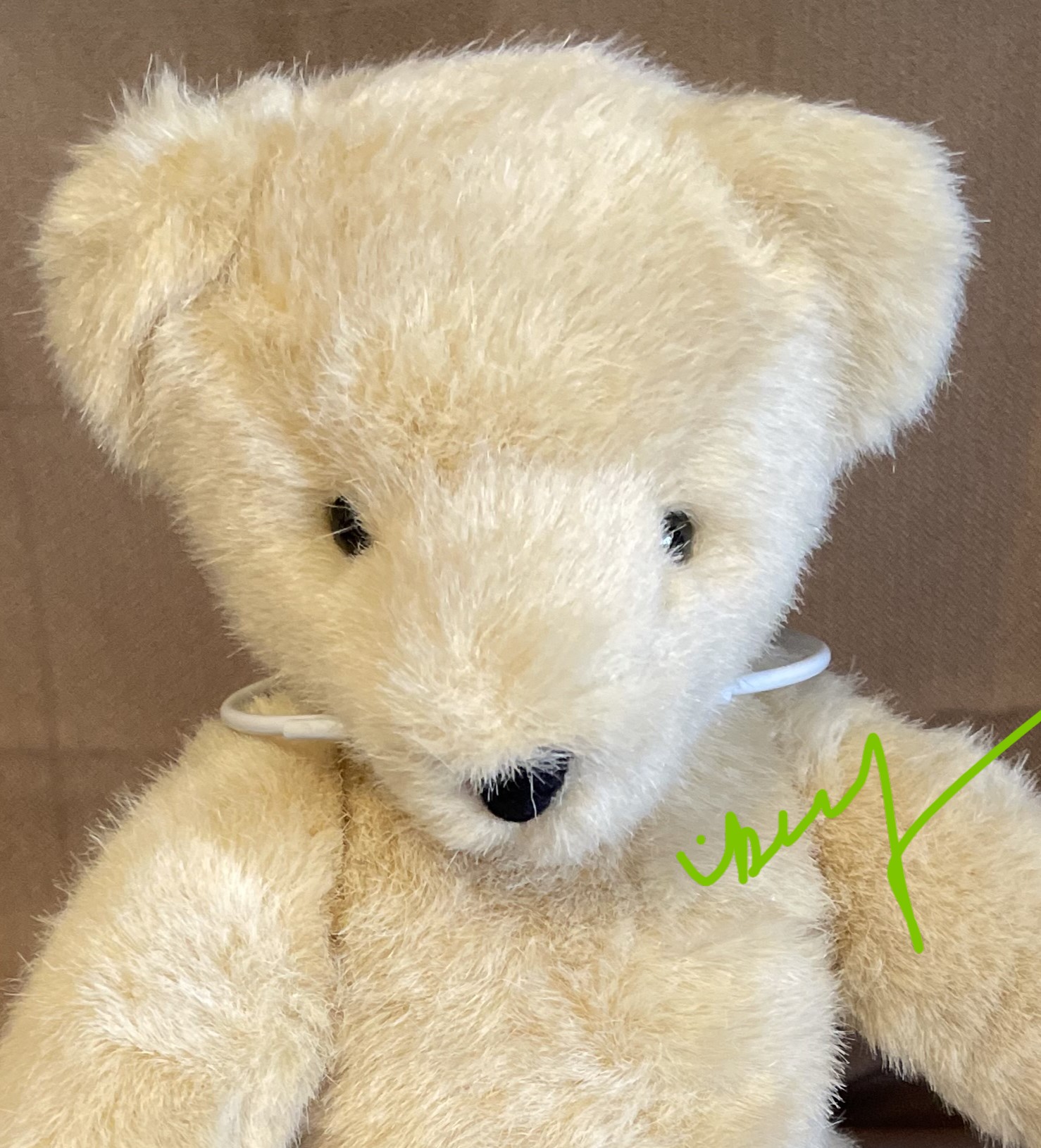 Undressed FLUFFY or FUZZY VanderBear