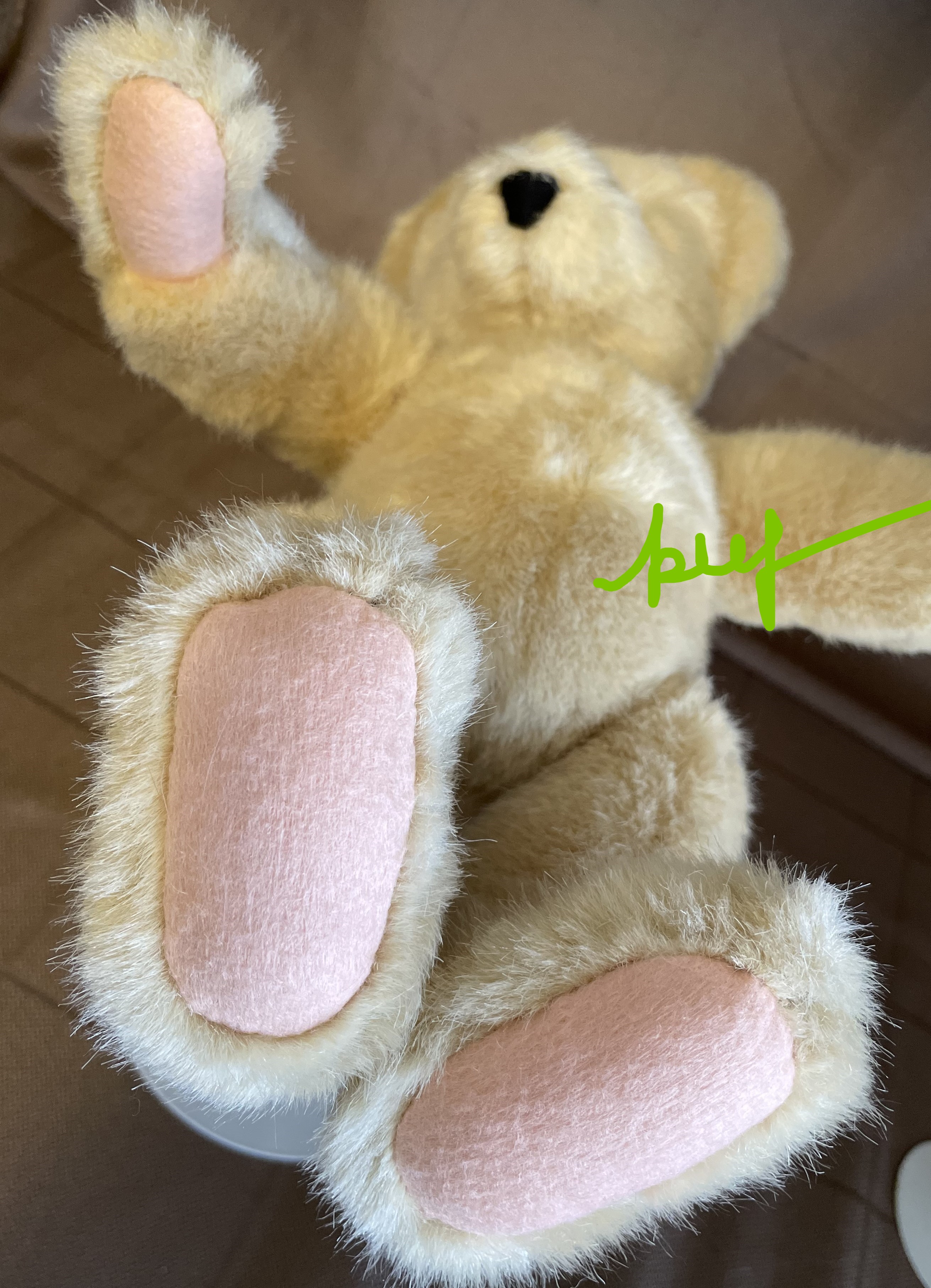 Undressed FLUFFY or FUZZY VanderBear