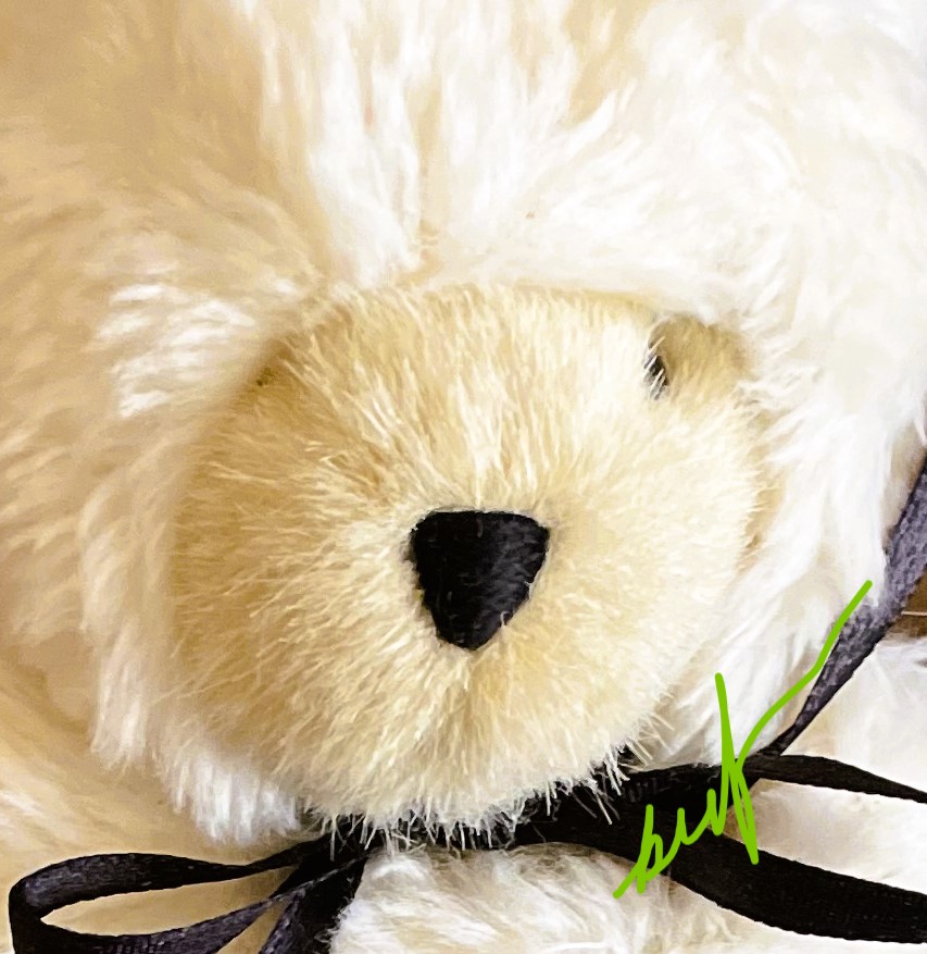 Muffy POLAR BEAR: North Meets South