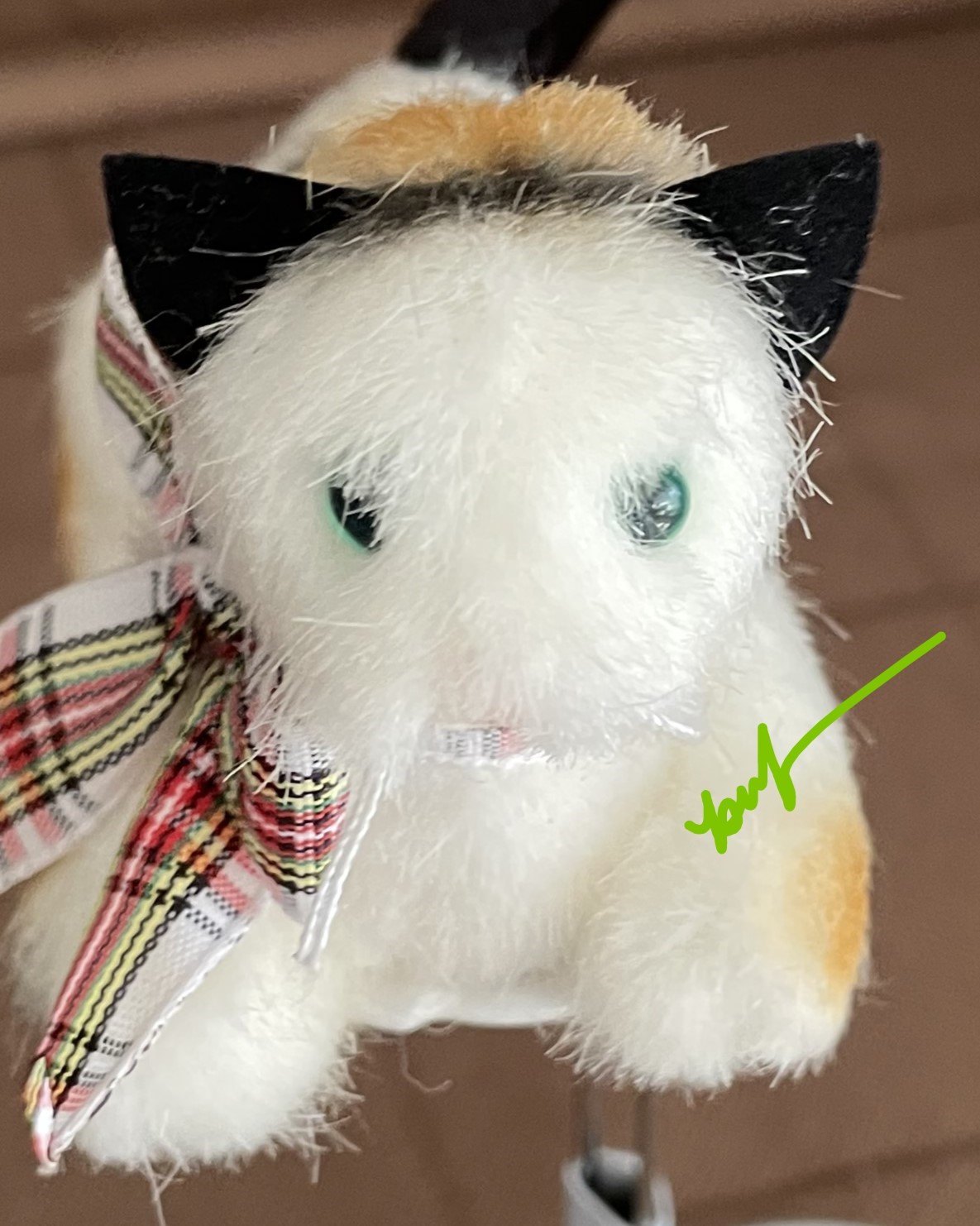 A to Z by M. V.deB.: The Reading Collection PURRLIE KITTY CAT
