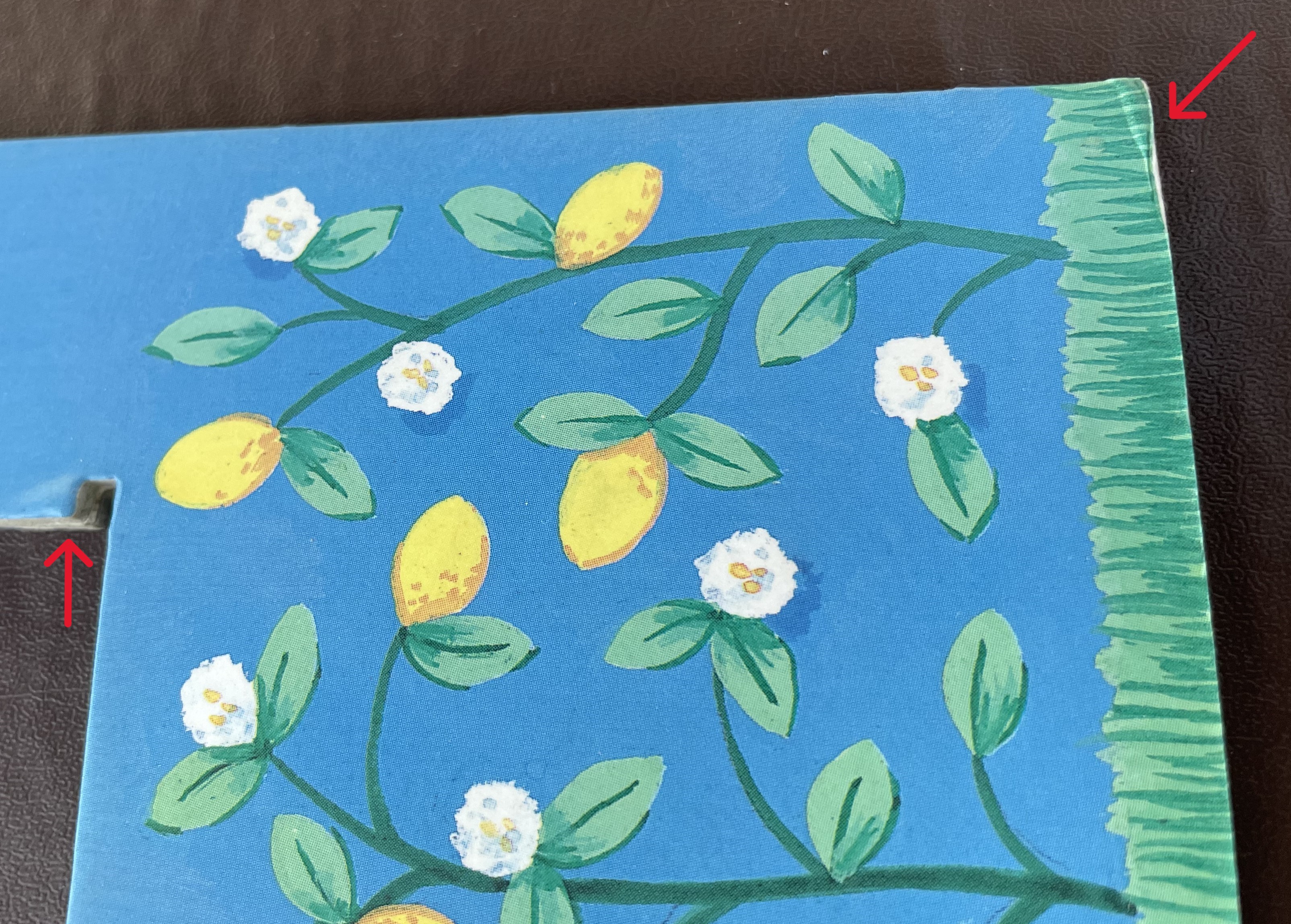 (The) Lemonade Stand: 5 cents A Glass - Muffy's LEMONADE STAND DISPLAY BACKDROP