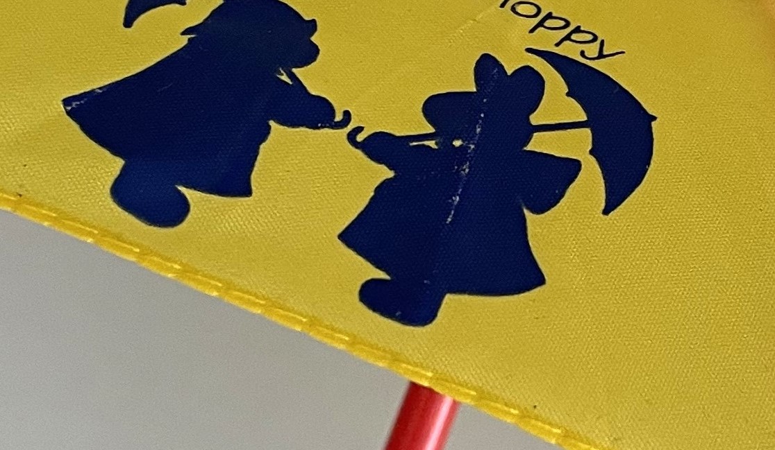 Rainy Day UMBRELLA