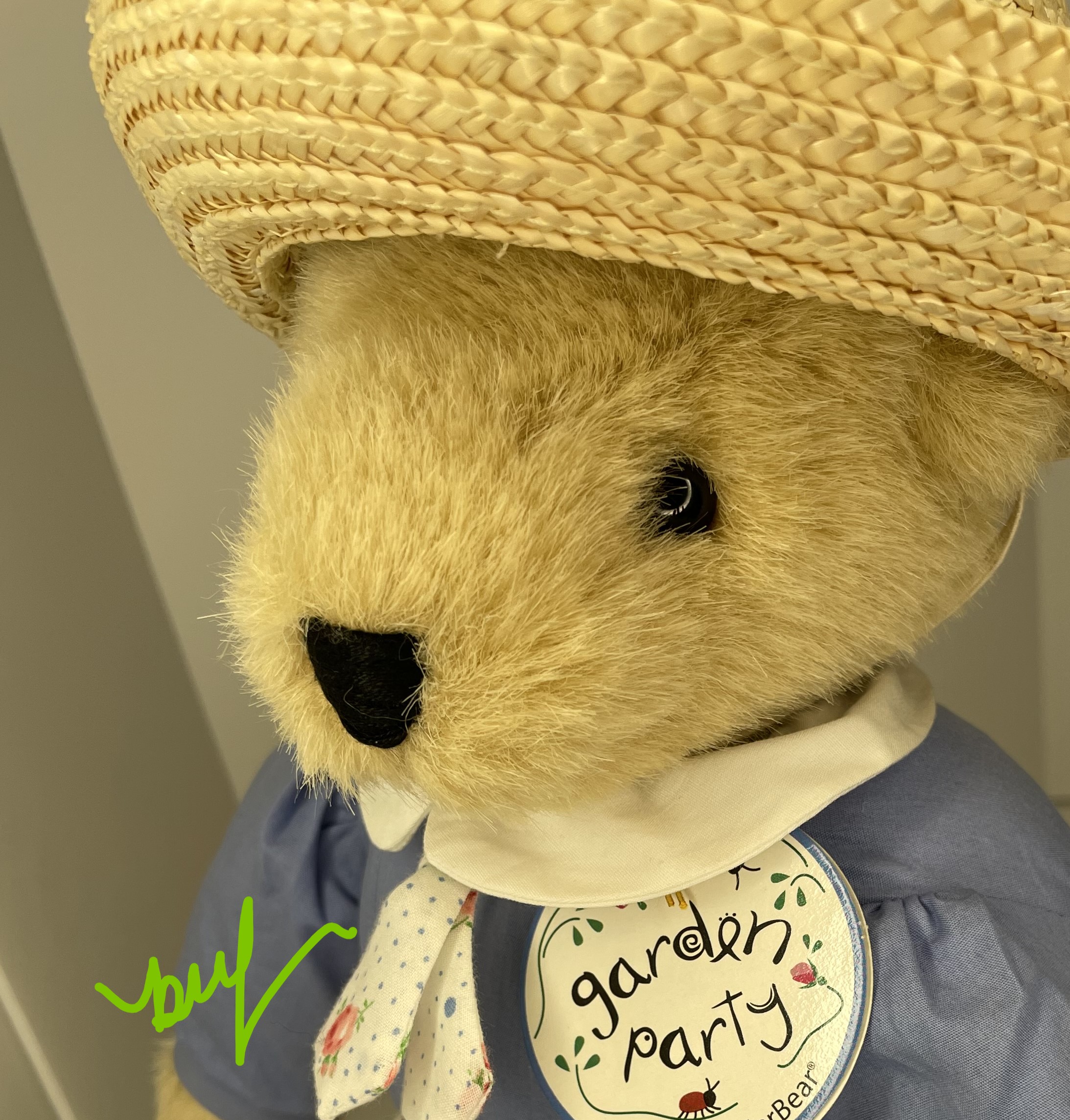 Garden Party Factory-dressed FUZZY VanderBear
