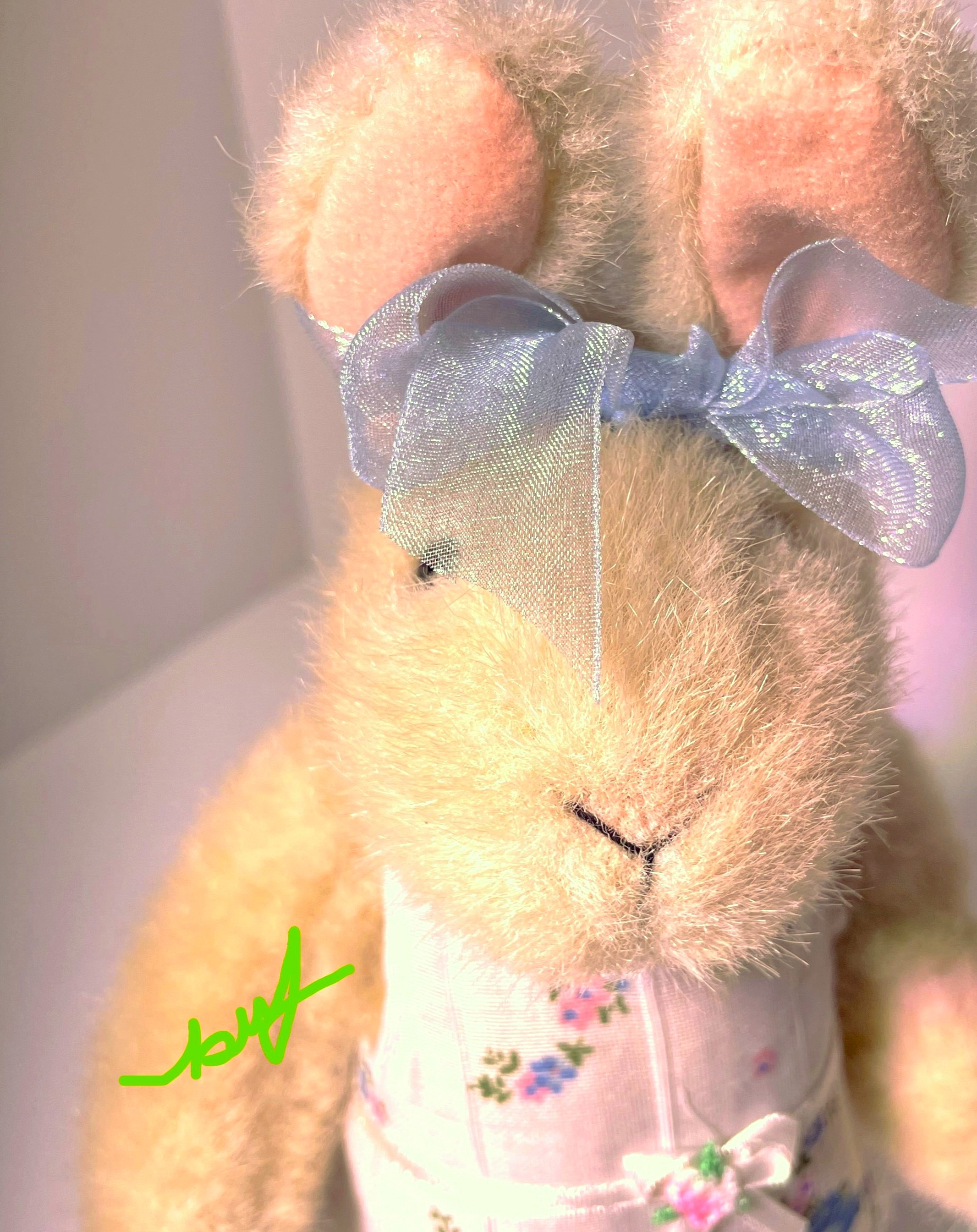 HOPPY VanderHare + UNDERTHINGS Chemise