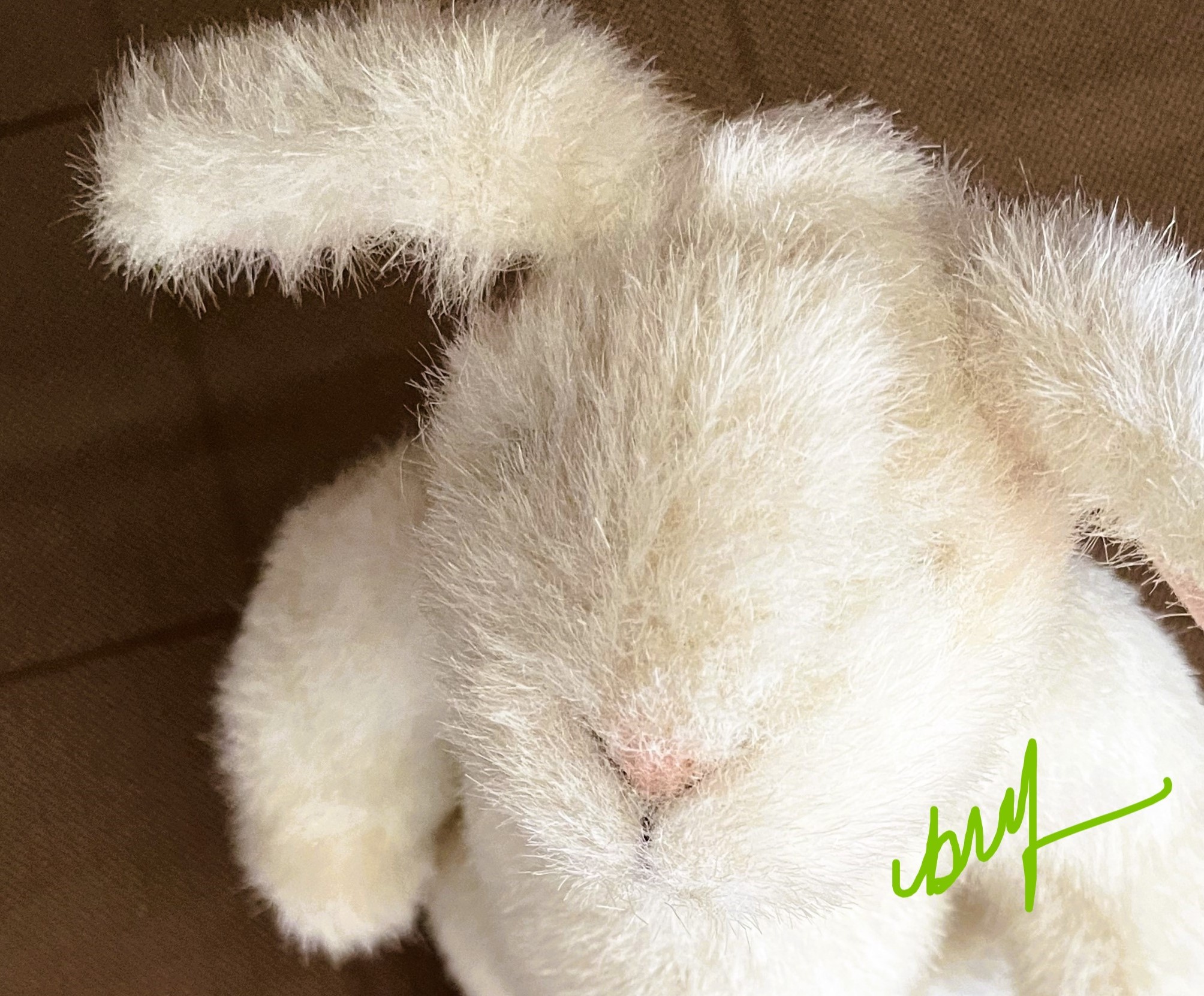 Undressed HOPPY VanderHare