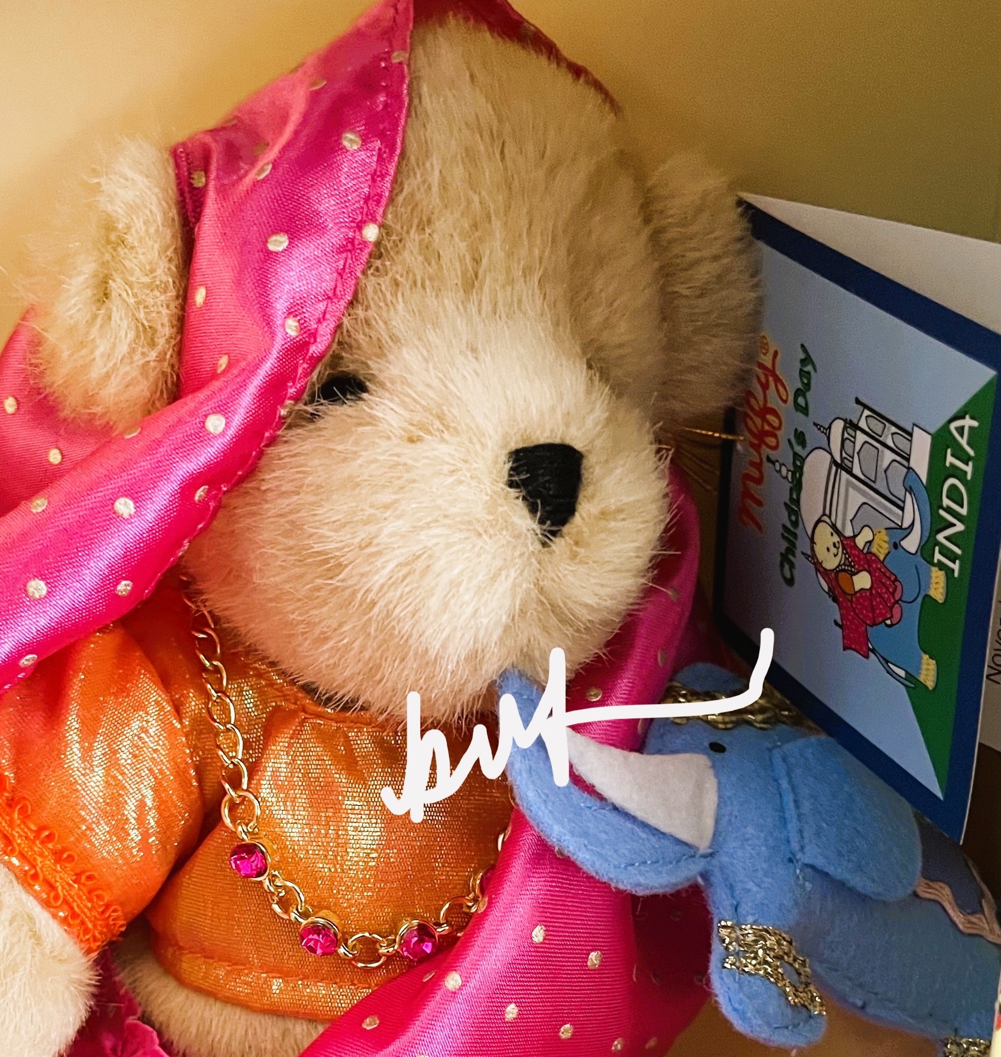 Muffy Celebrates Around the World - INDIA