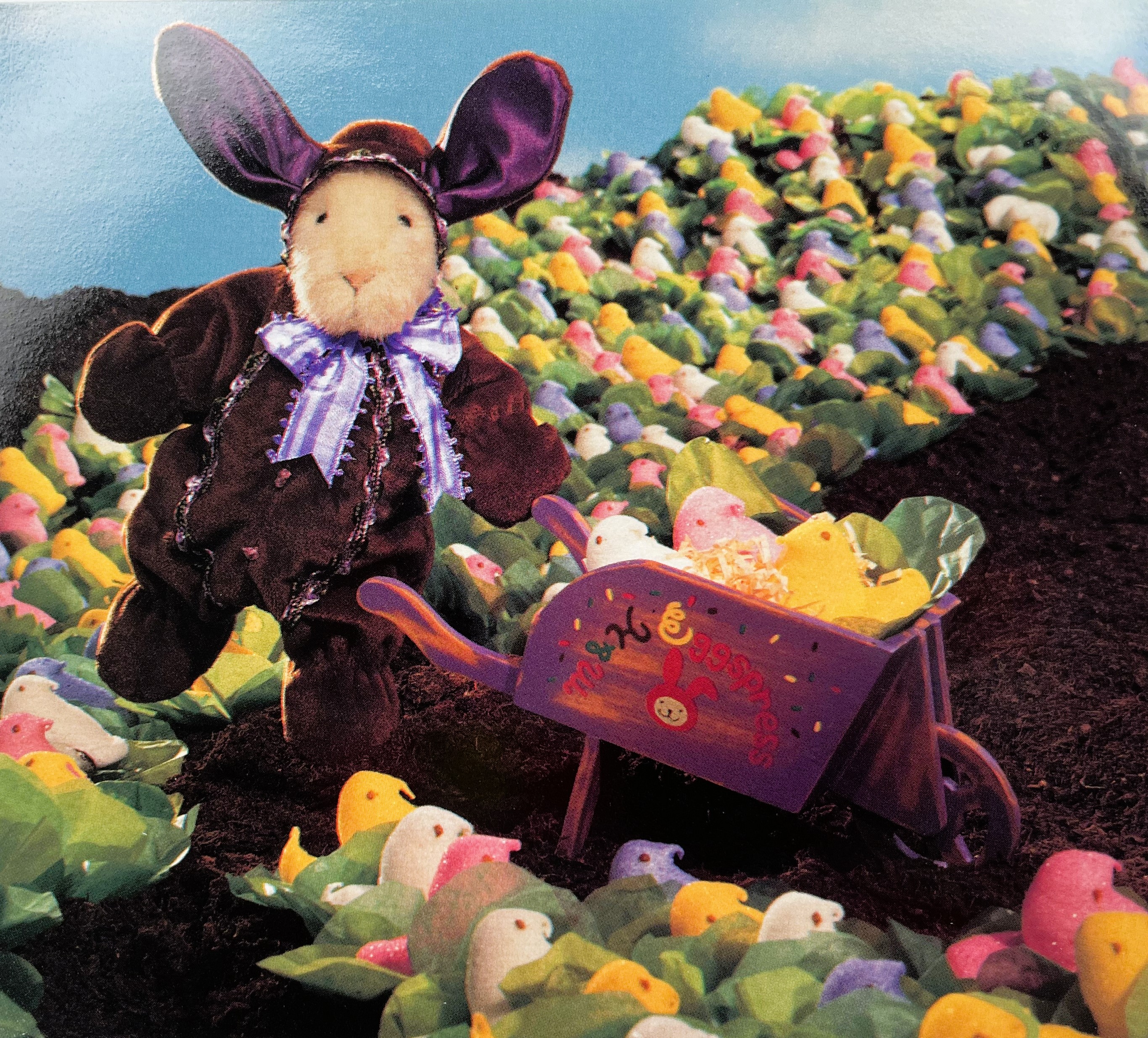 Cocoa Bunny HOPPY Outfit