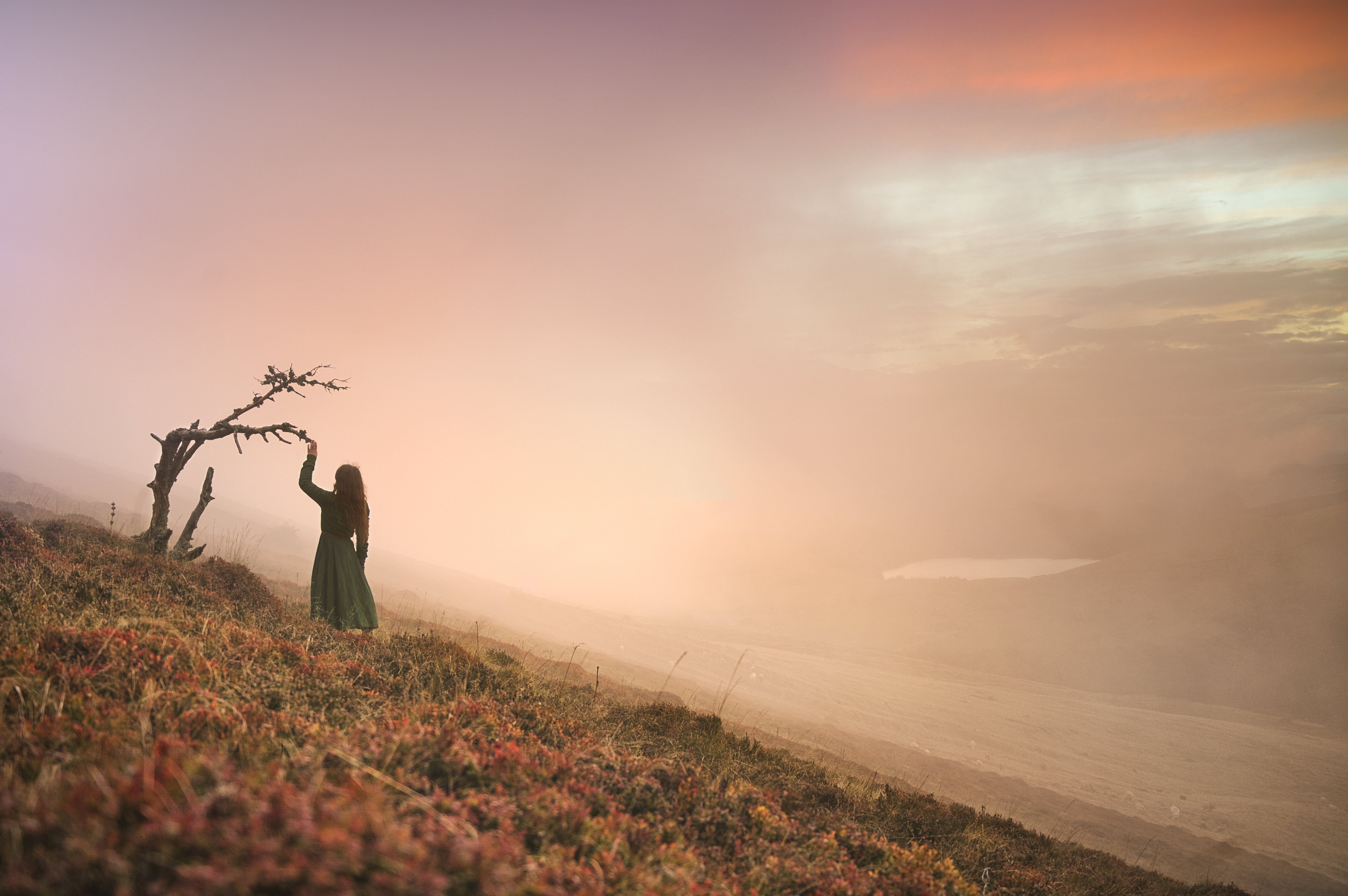 Le Royaume des Songes