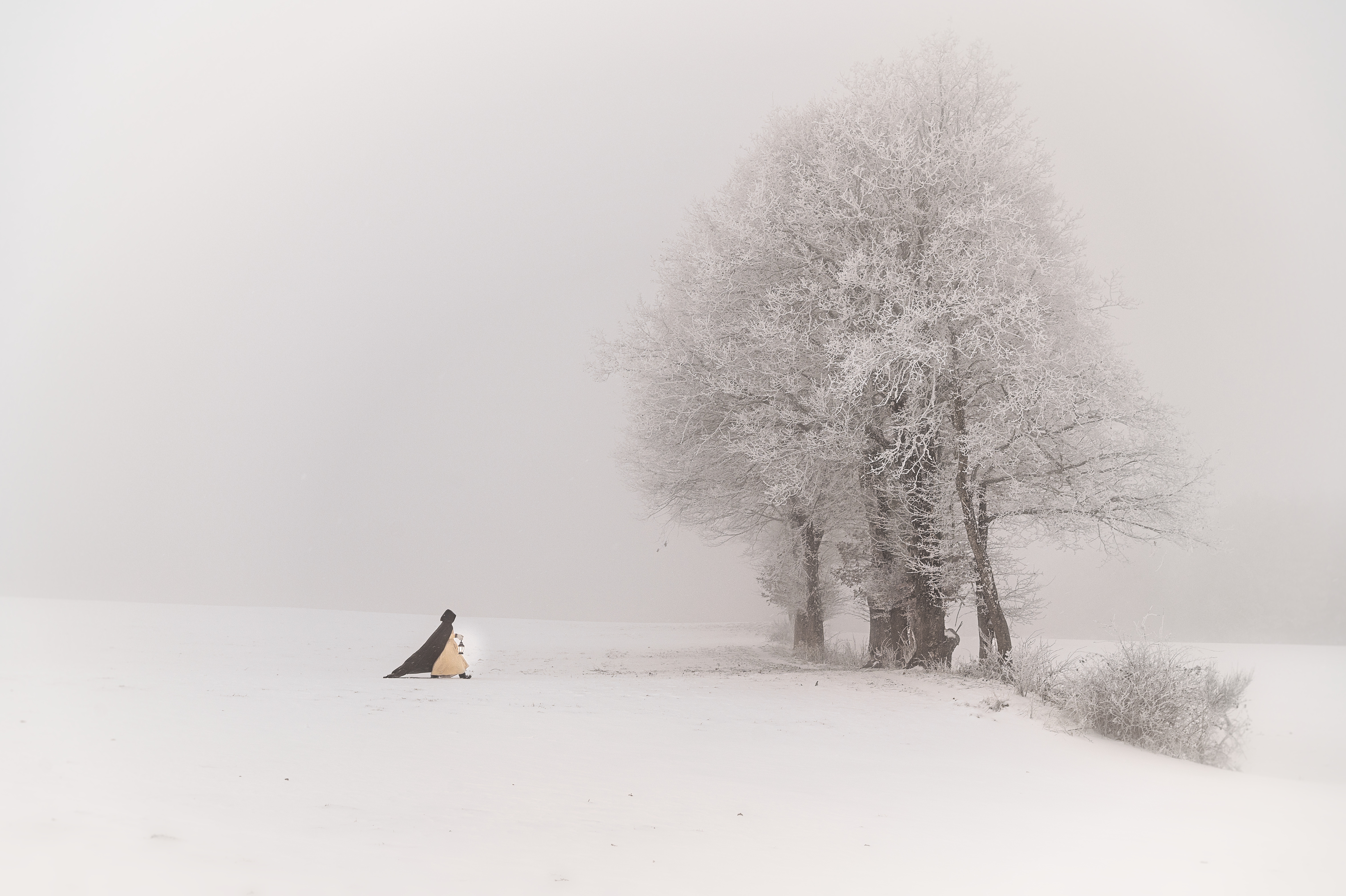 Les Géants de Givre