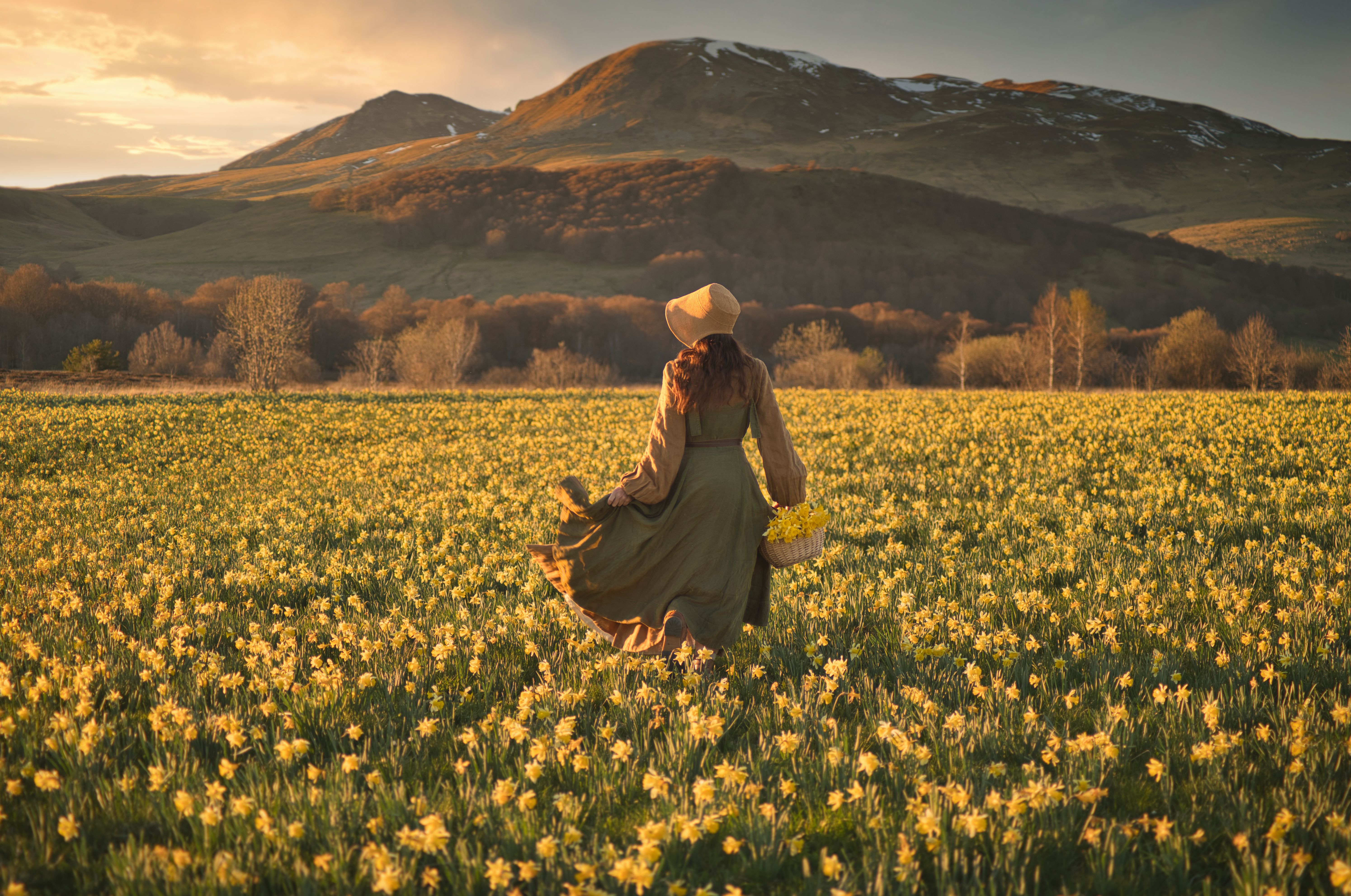 L'Eveil des Jonquilles