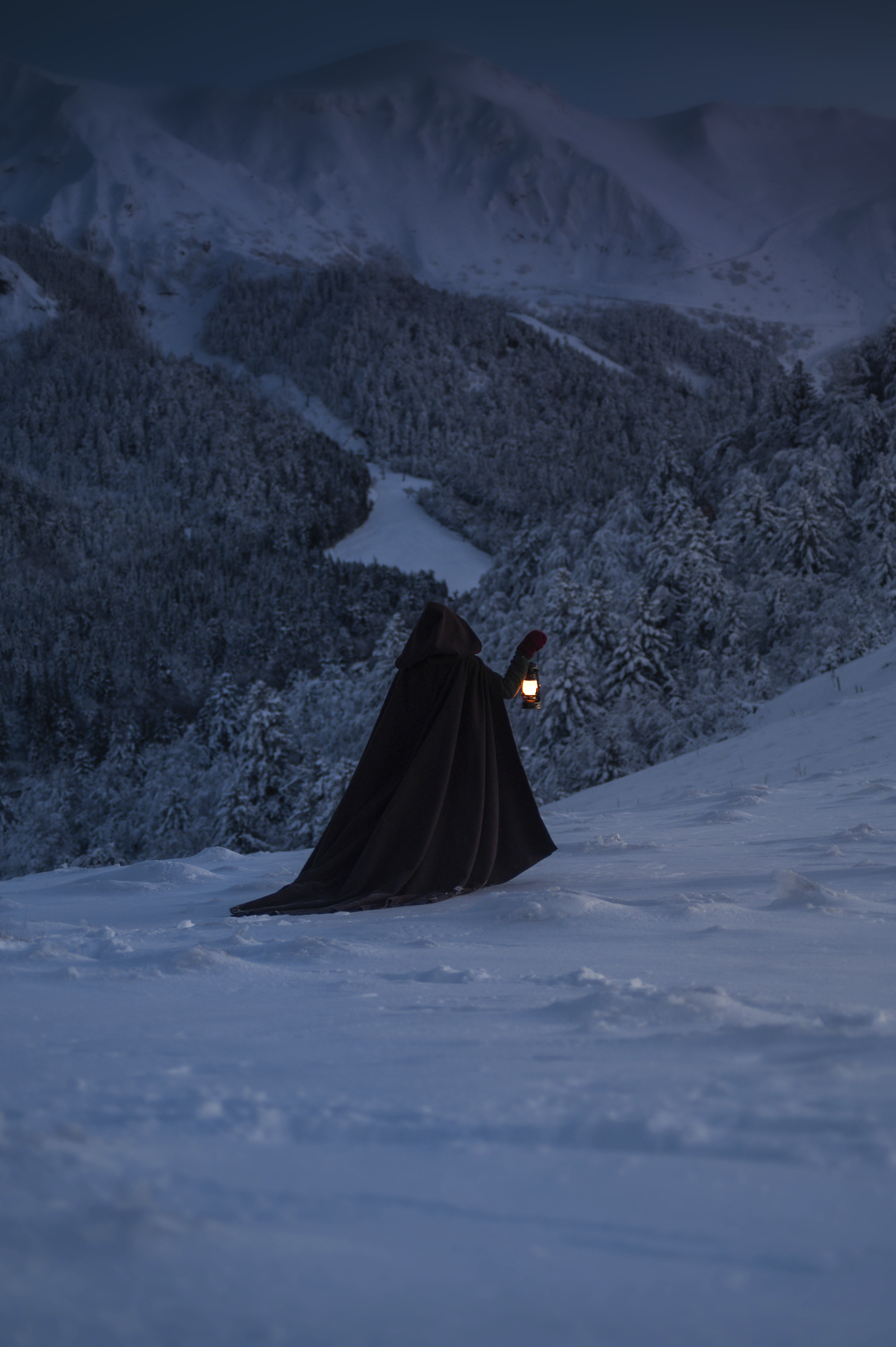 La Vagabonde des Glaces