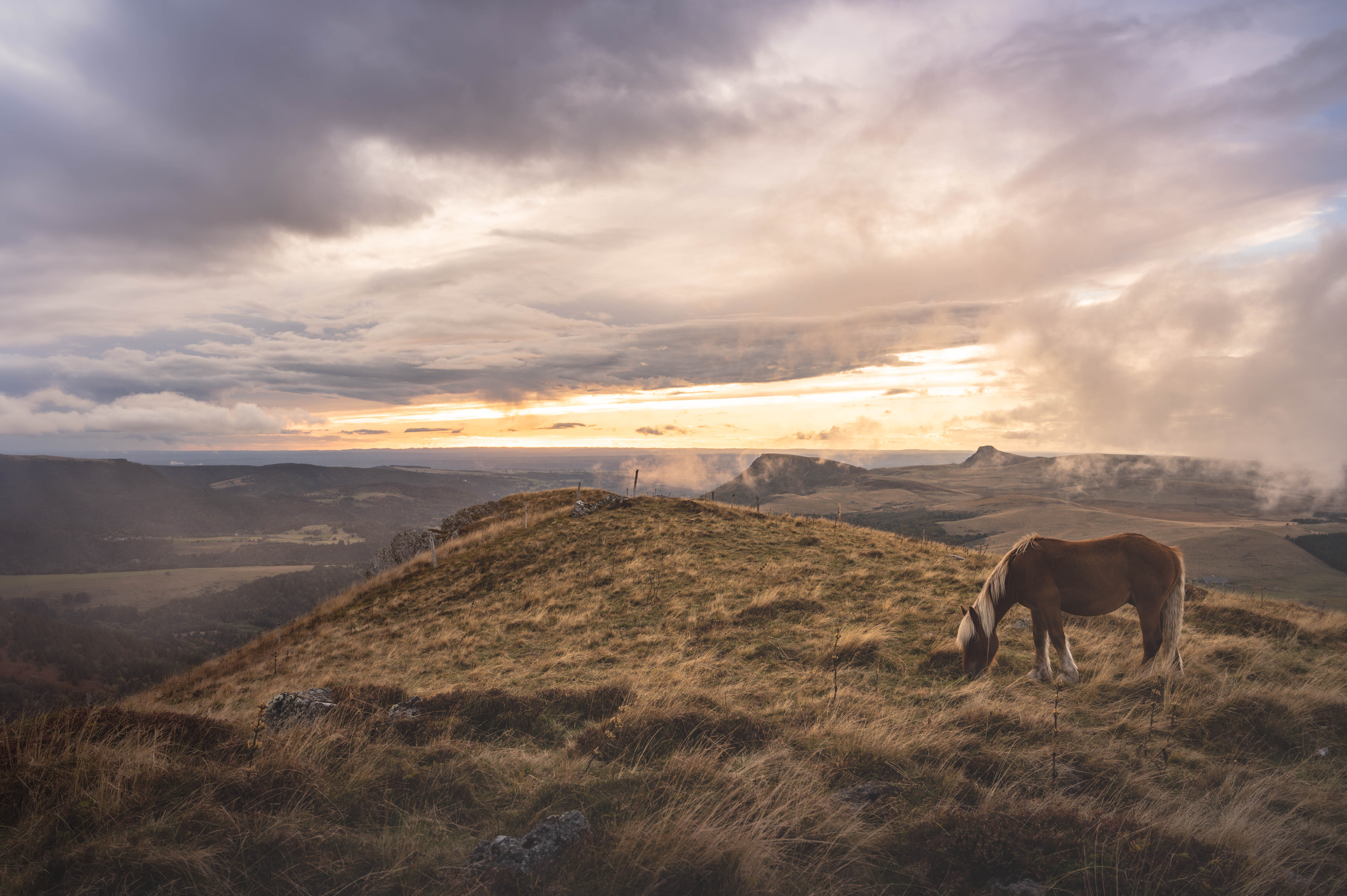 Epona