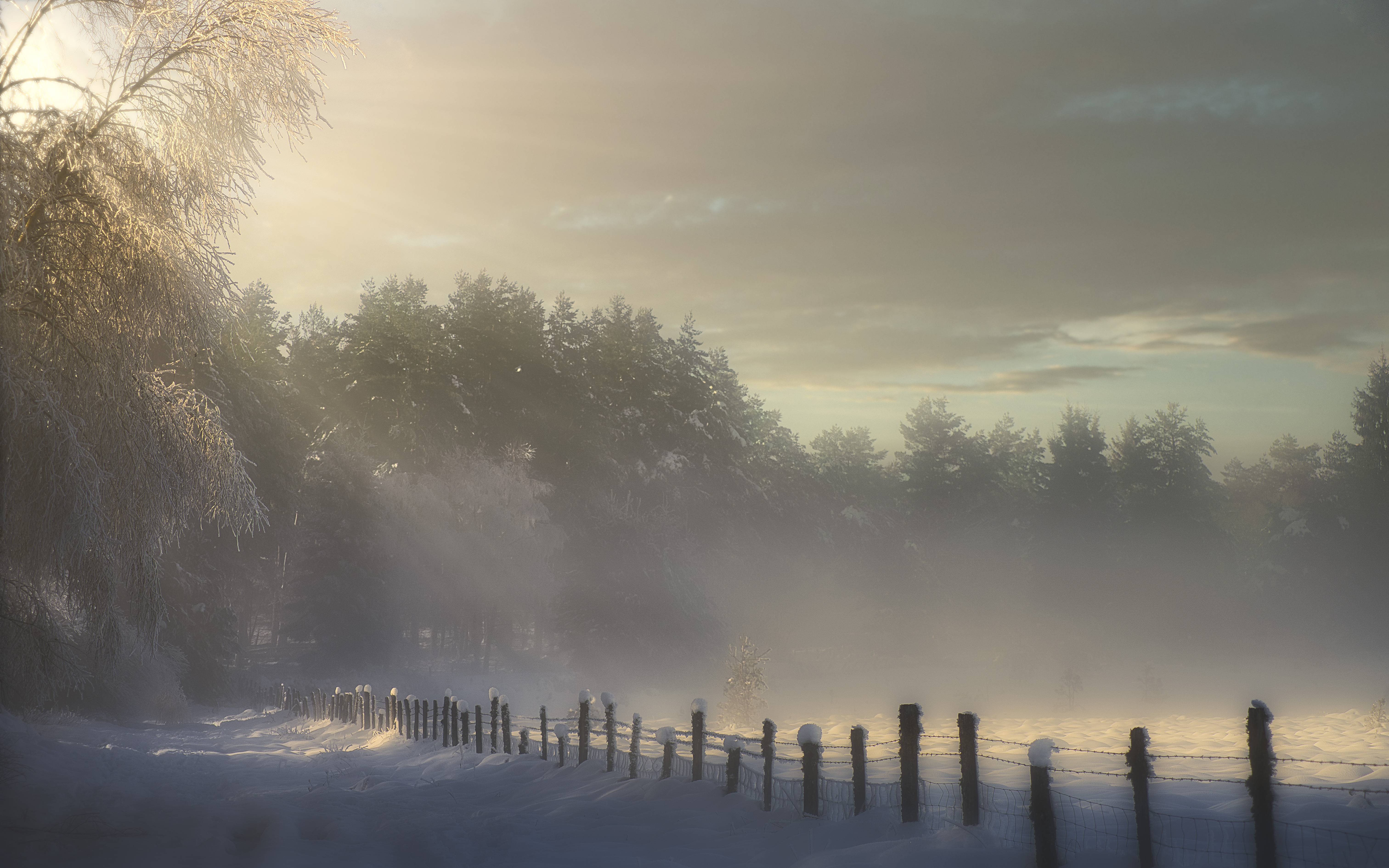 Voile d'Hiver