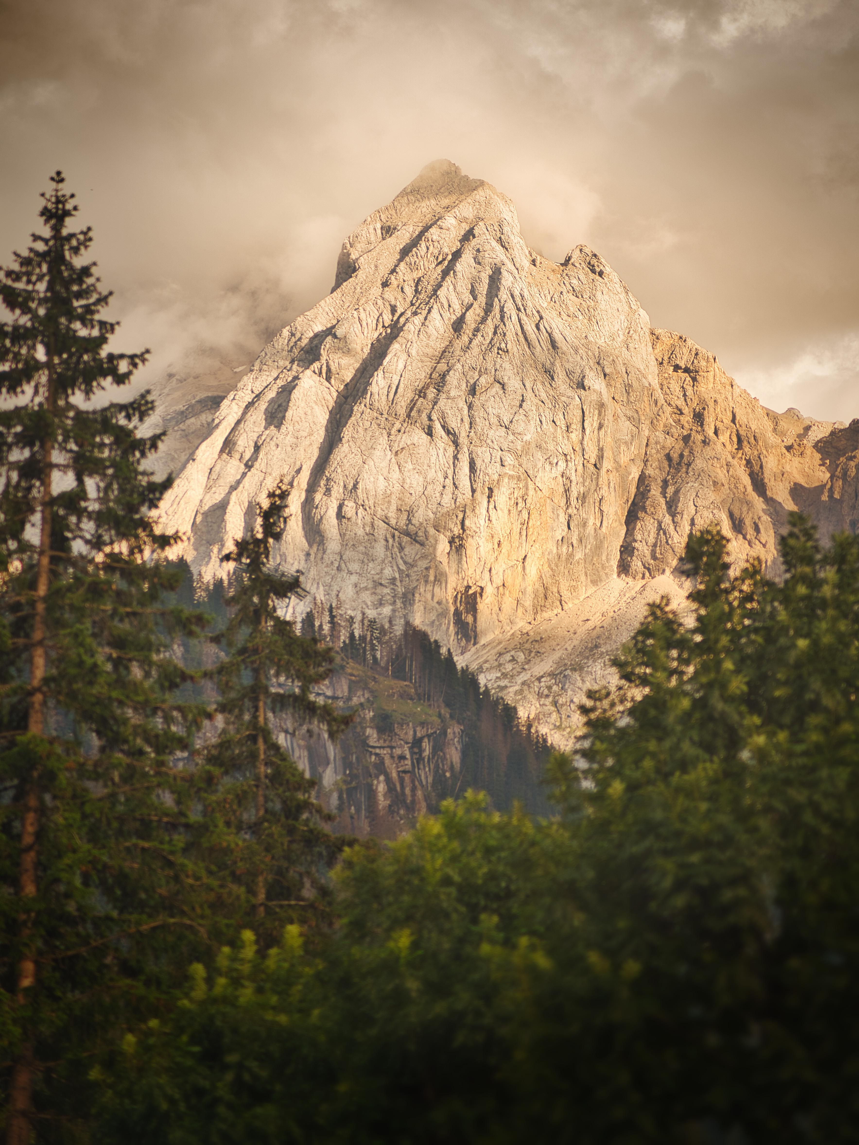 Par-delà les Monts et Forêts