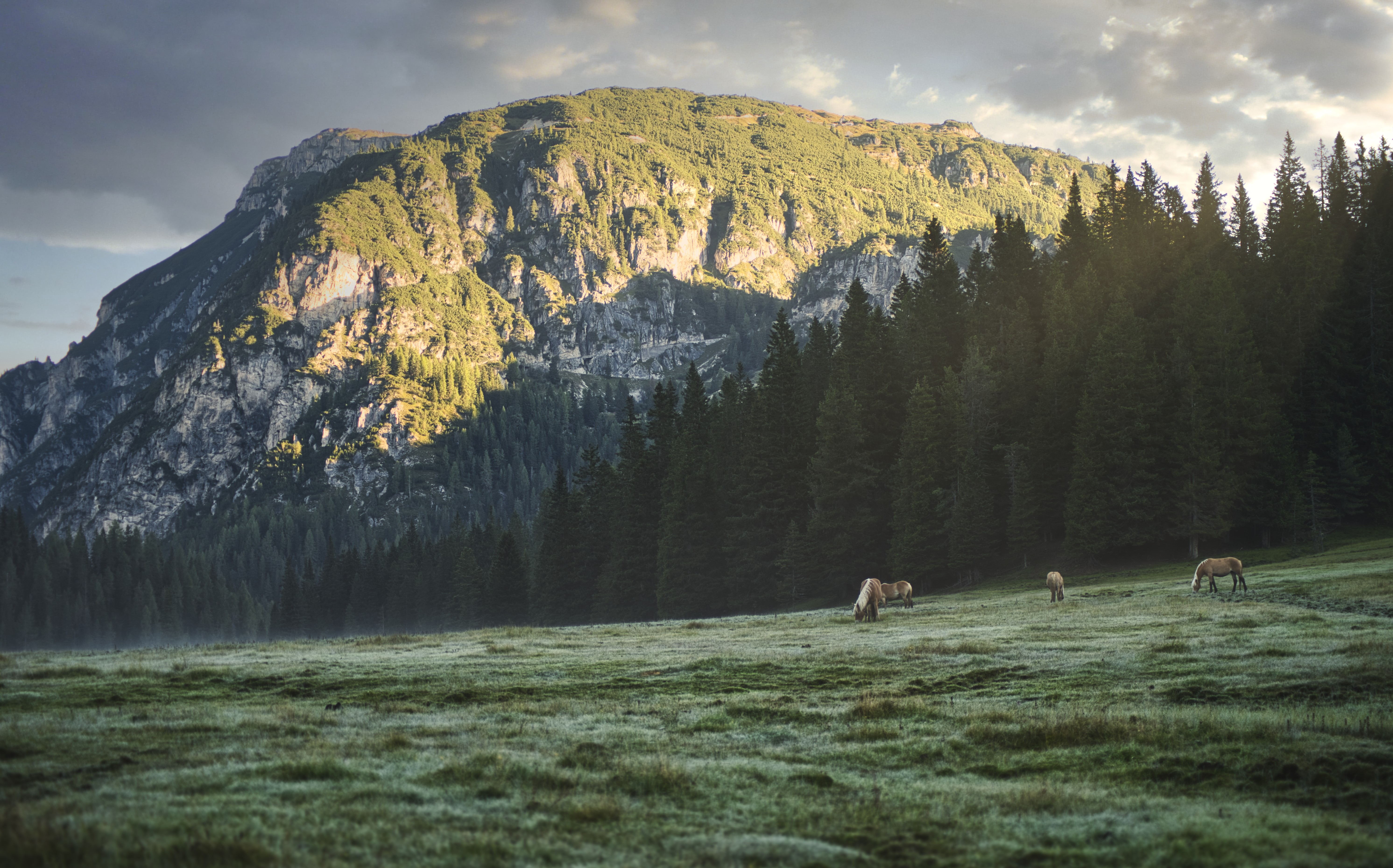 Aube Alpine