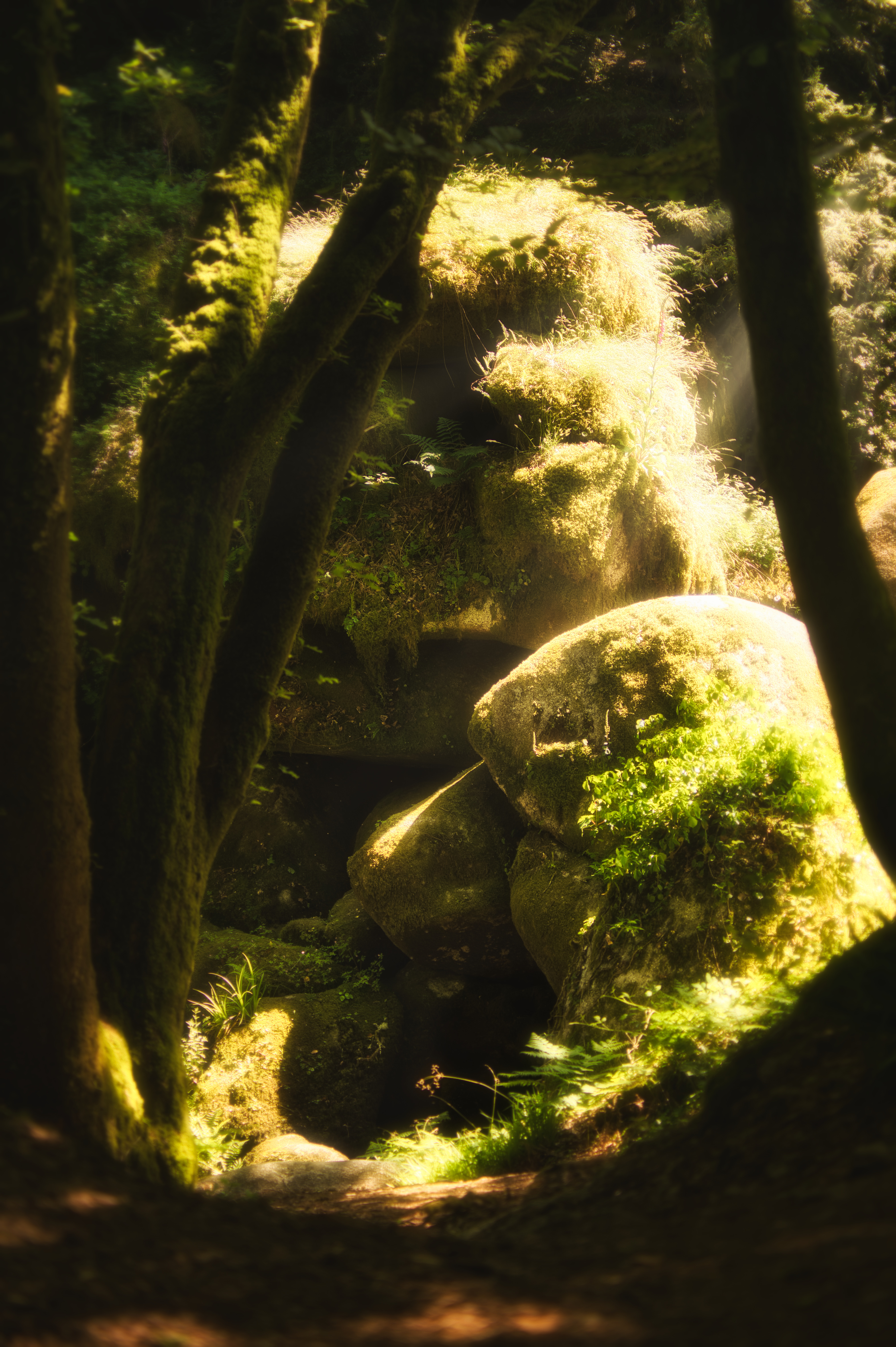 La Caverne du Troll Forestier