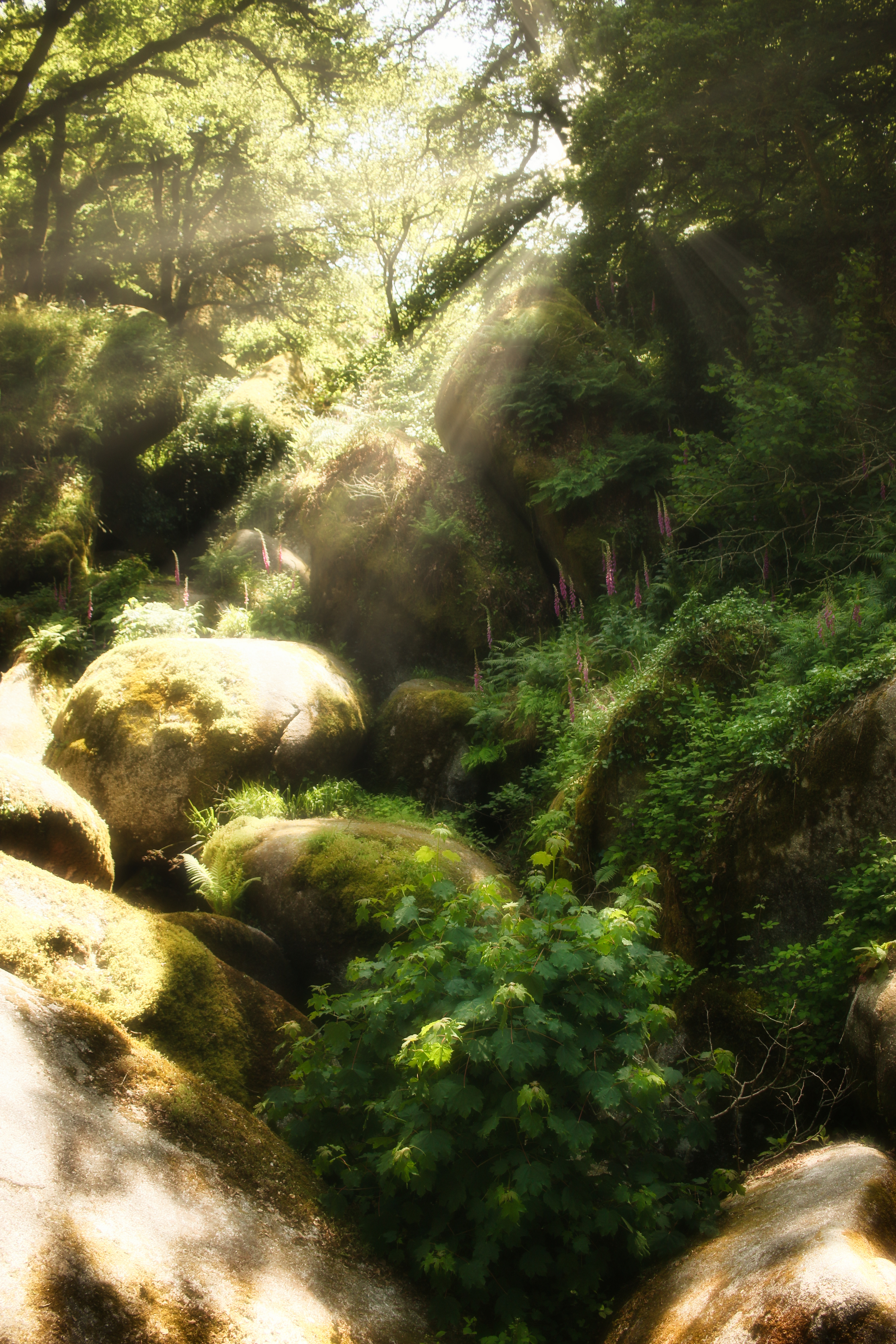 La Piste des Trolls