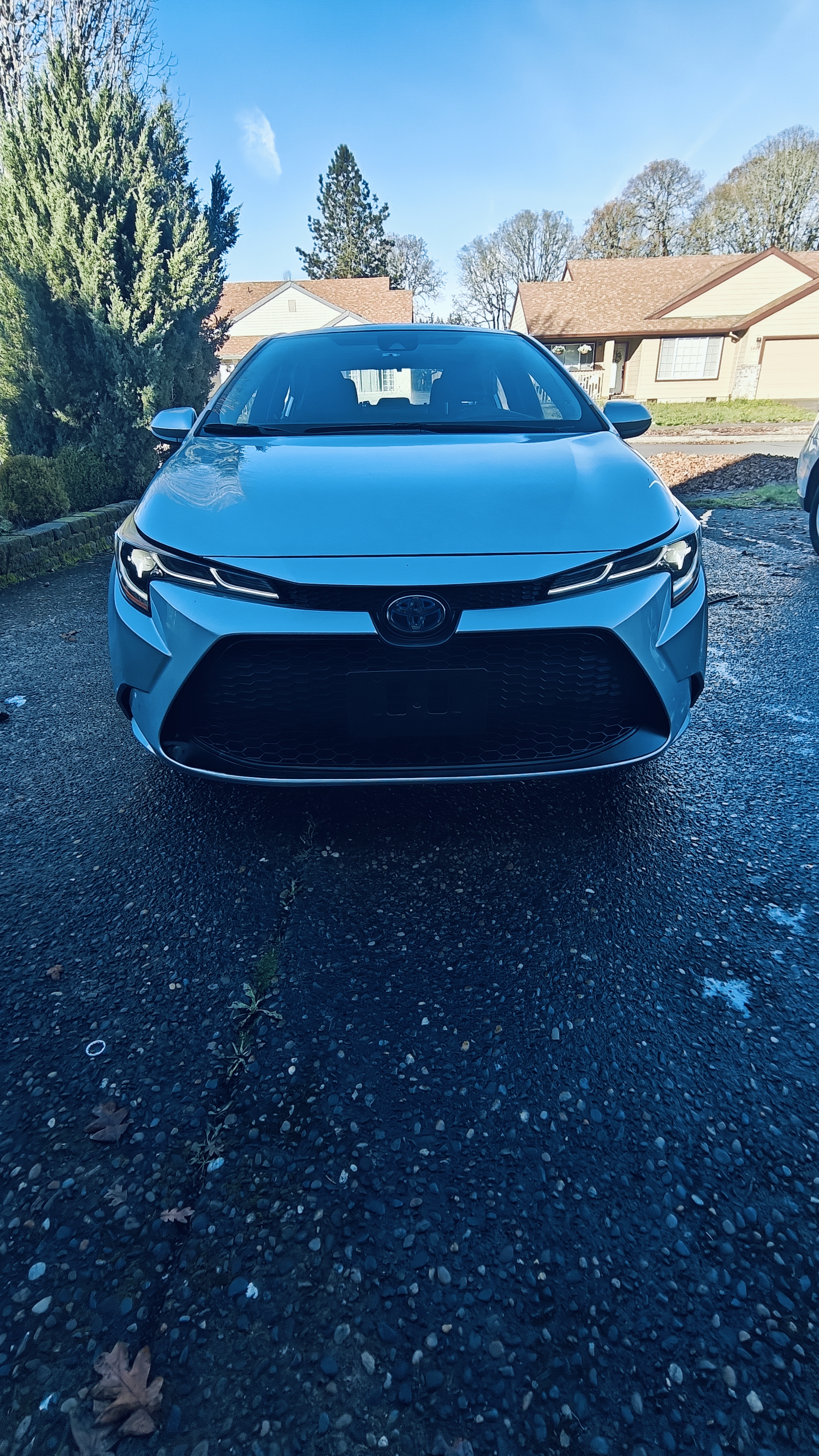 2022 Toyota Corolla LE Hybrid  