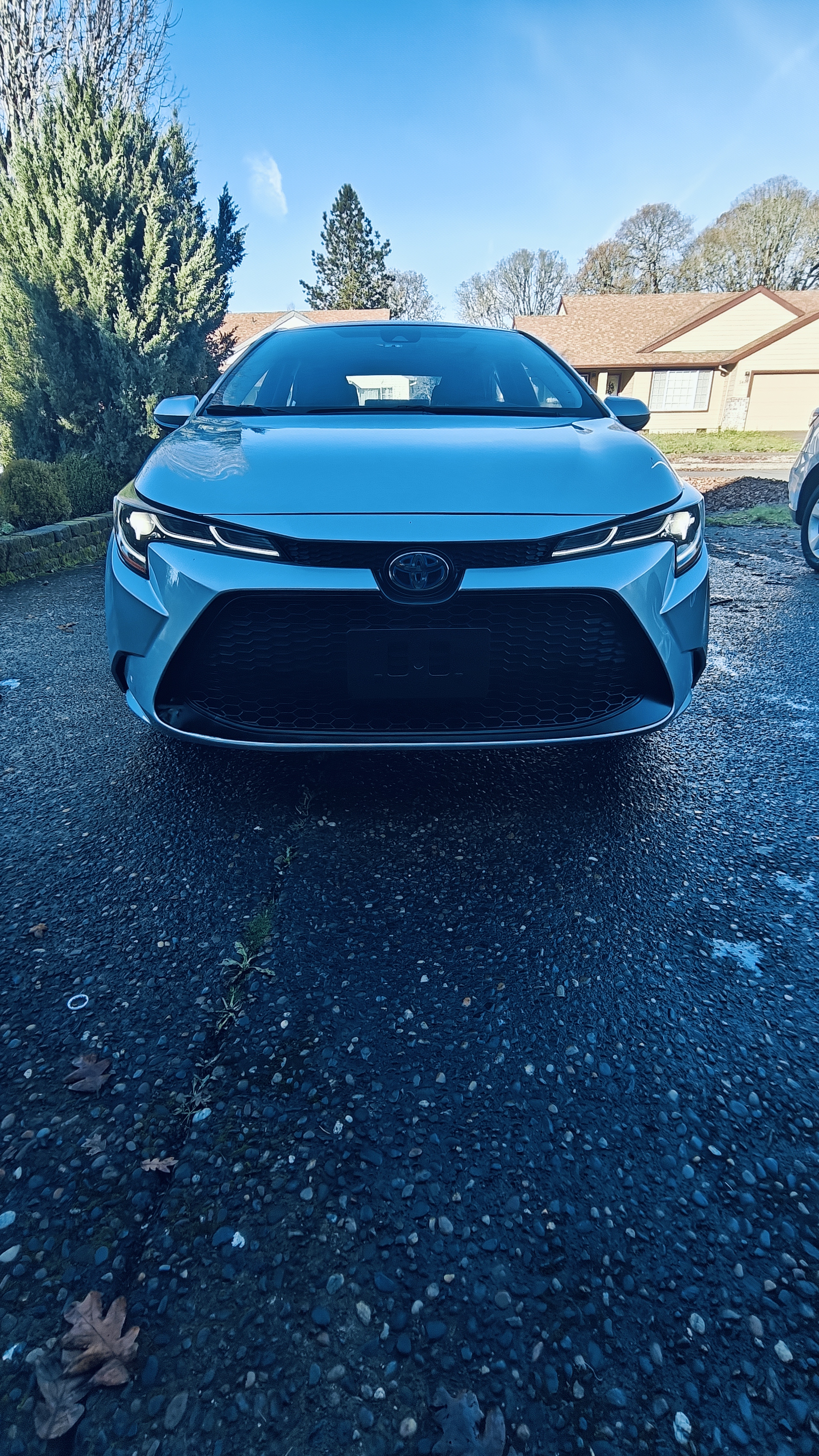2022 Toyota Corolla LE Hybrid  