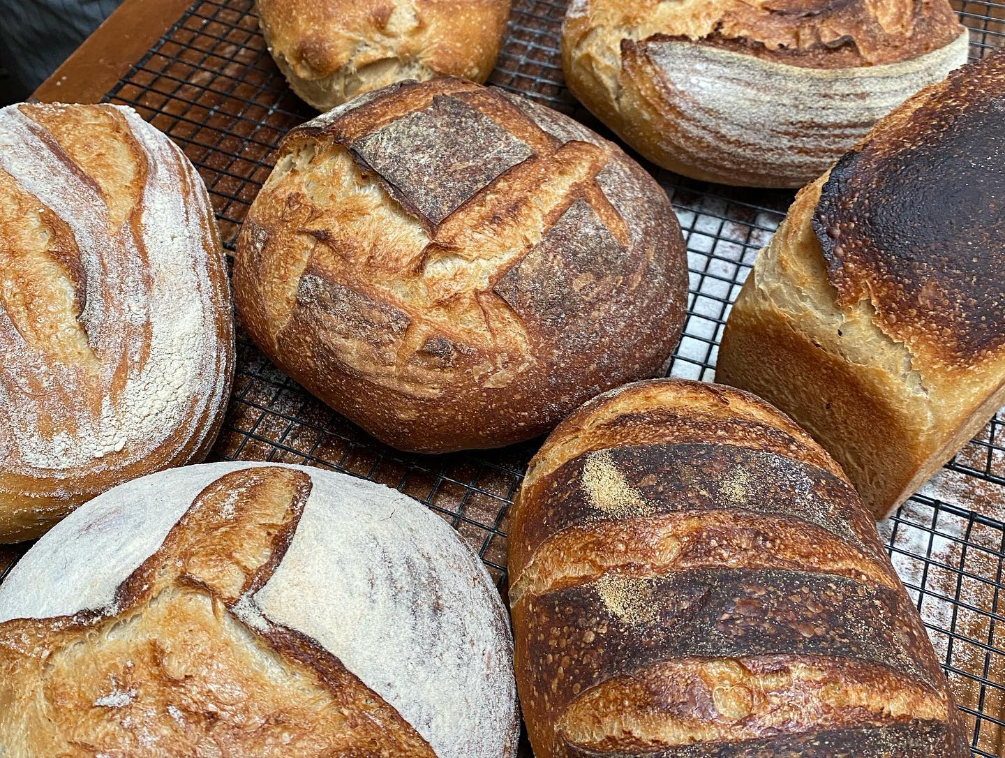 Introduction to Sourdough Baking-Sunday 26th April 2026