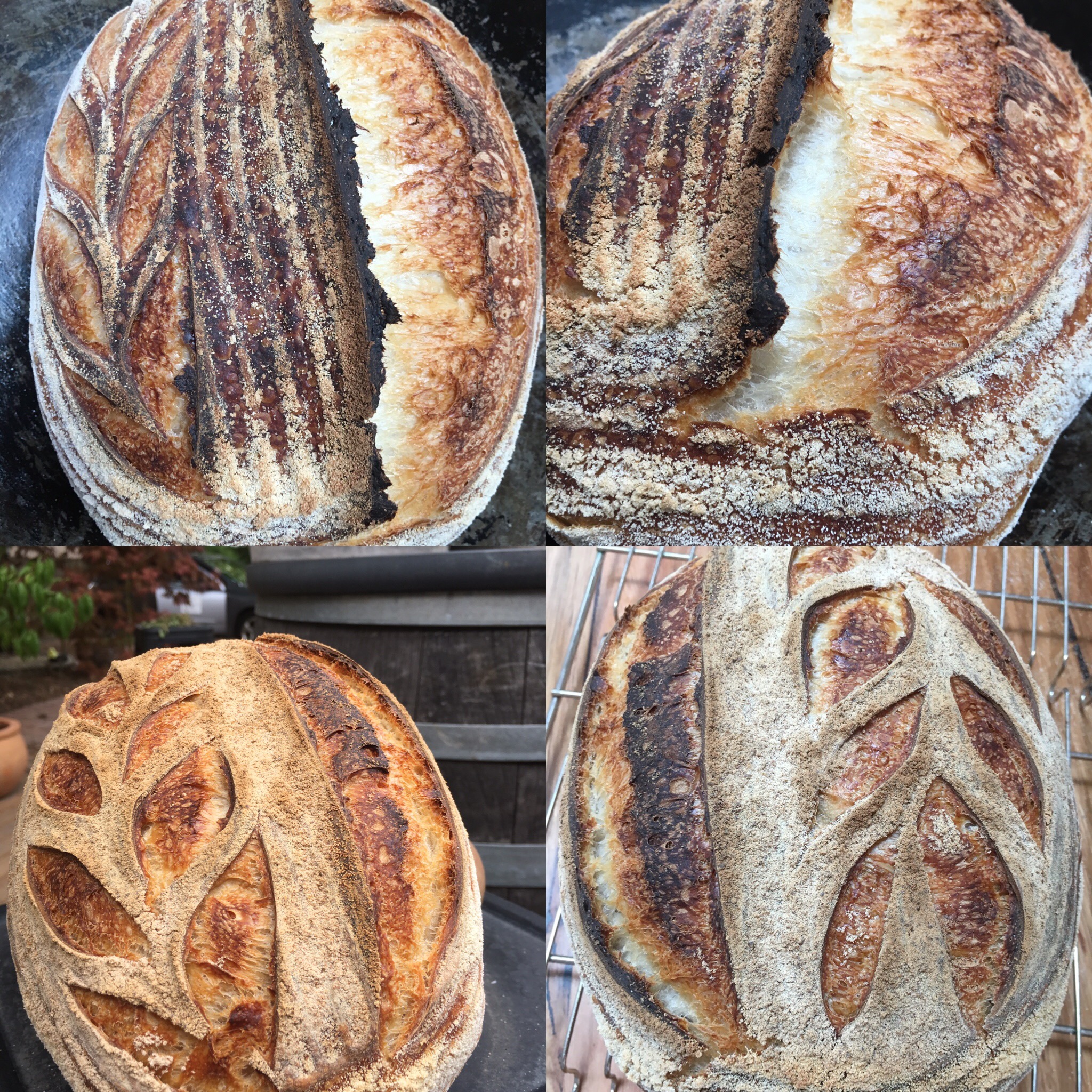 Introduction to Sourdough Baking - Saturday 27th February 2026 10:00-3:00