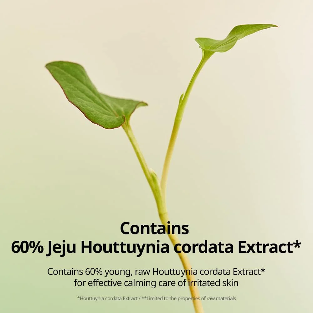 Goodal Houttuynia Cordata Calming Moisture Cream 75ml