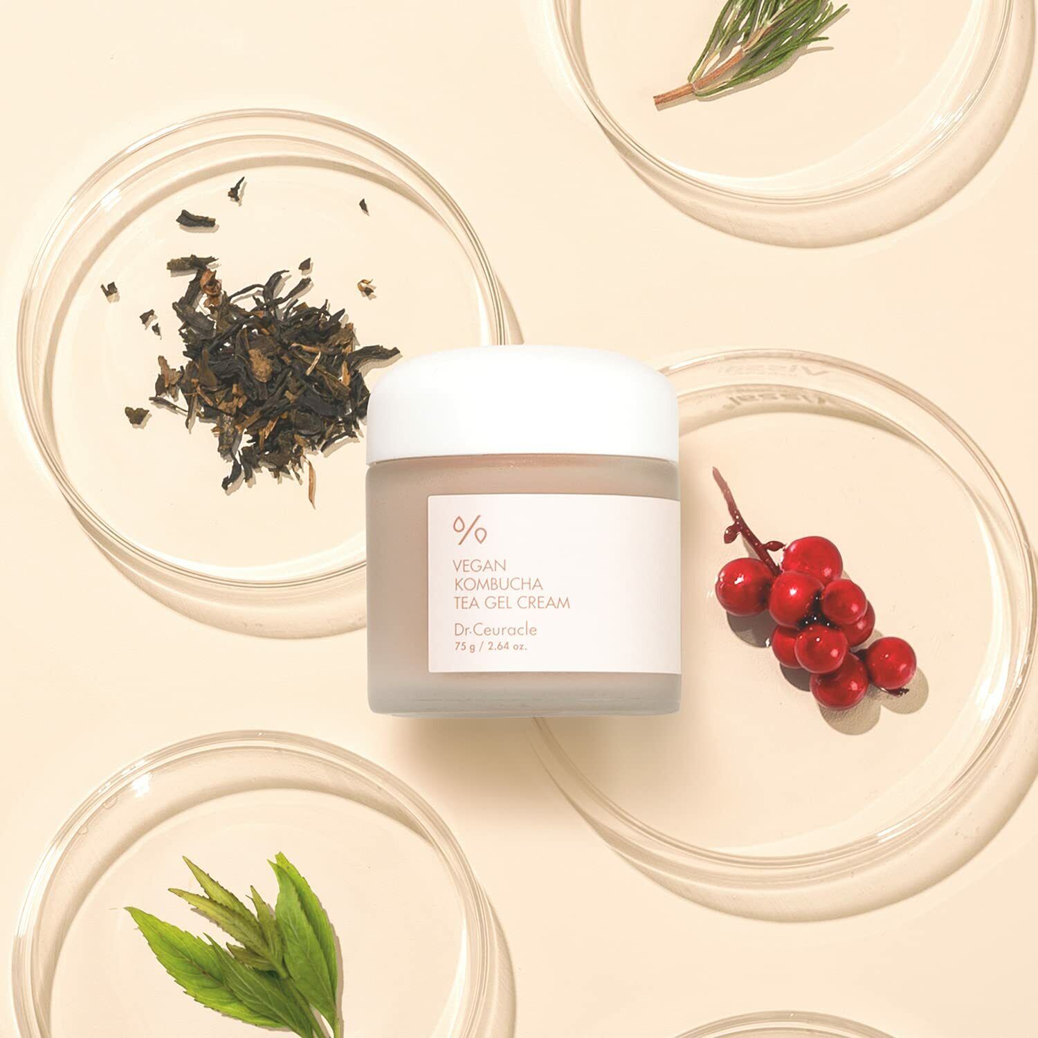 Dr.Ceuracle Vegan kambucha Gel Cream