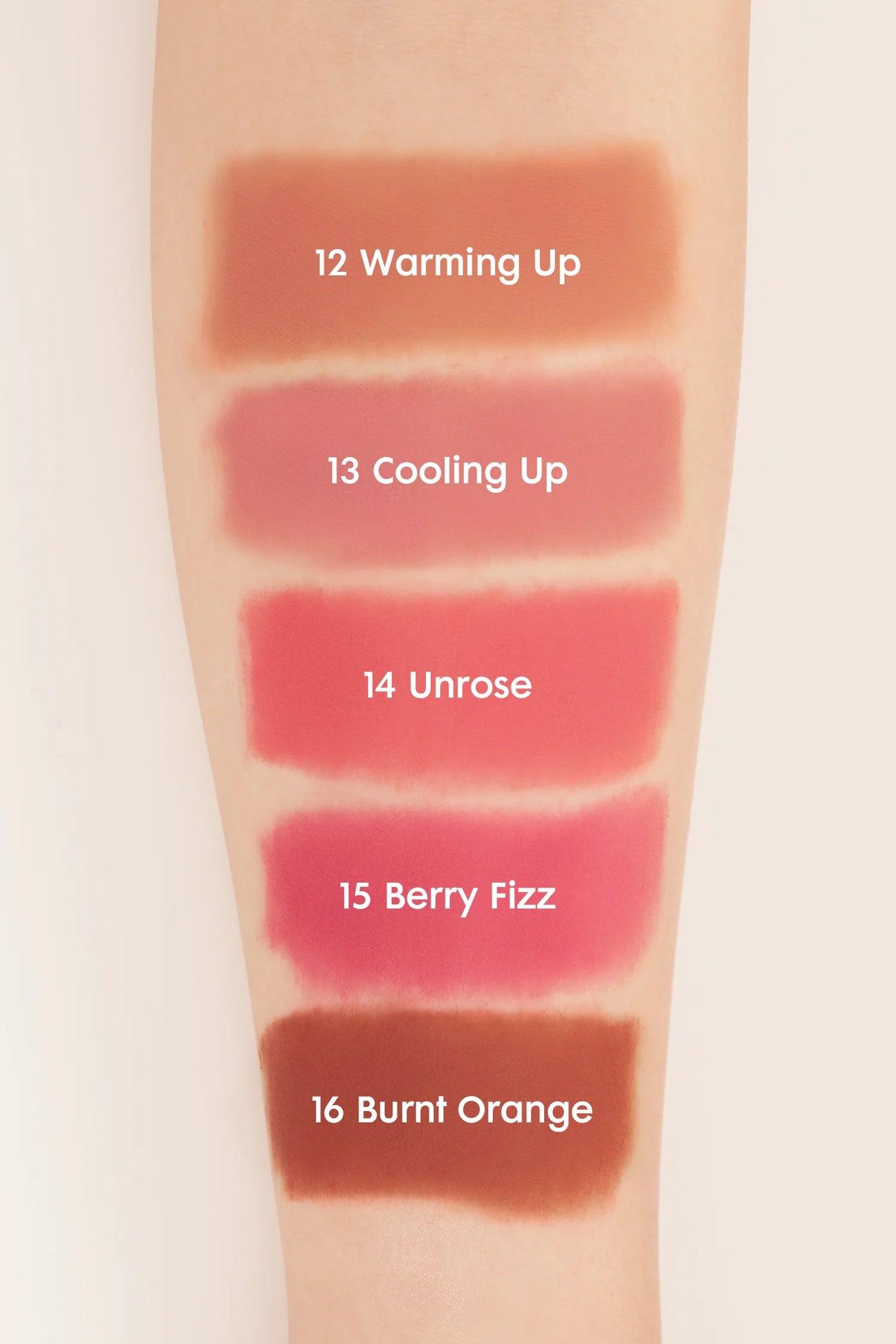 ROM&ND Blur Fudge Tint 5g