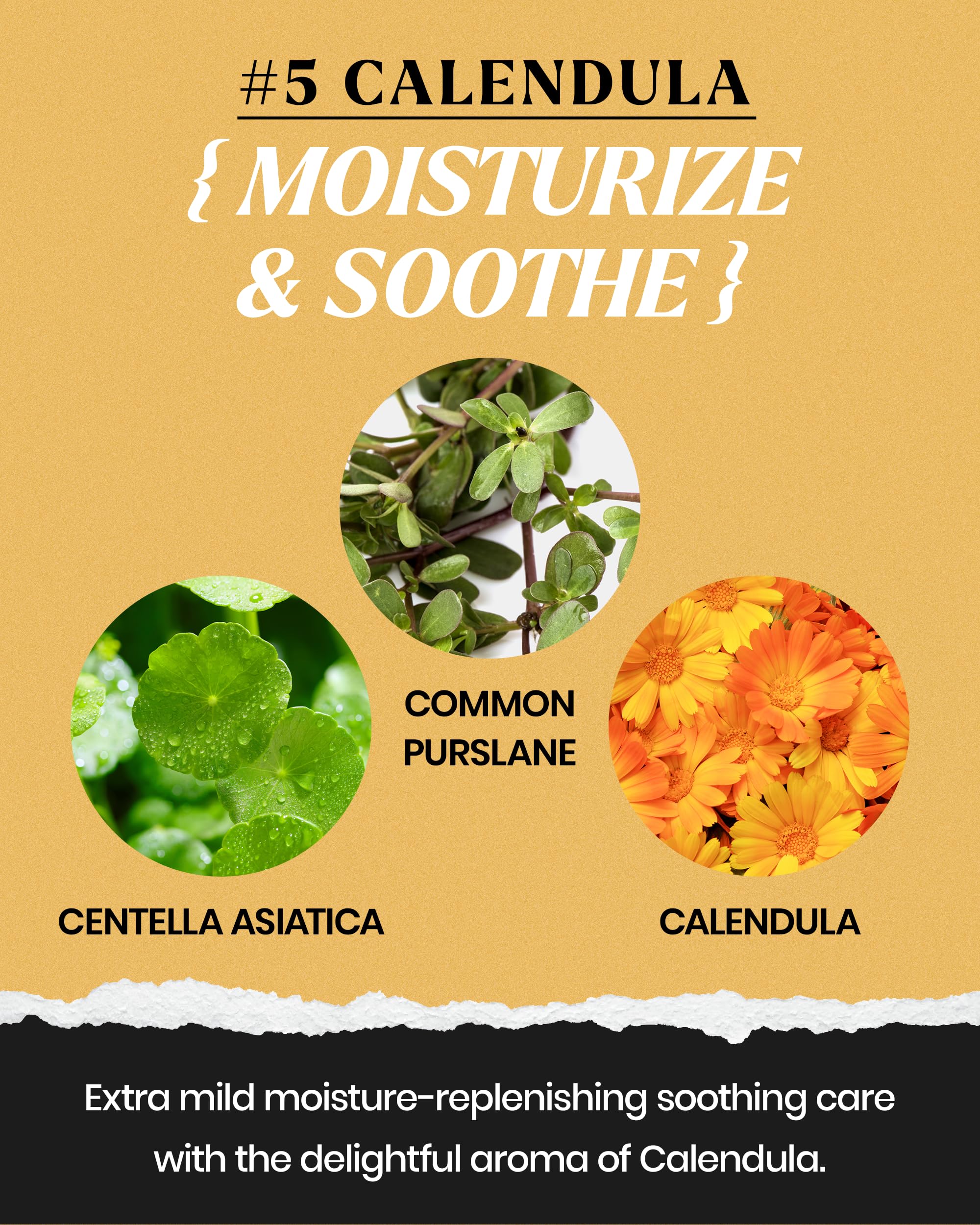 LINDSAY Calendula Modeling Mask Cup Pack 28g