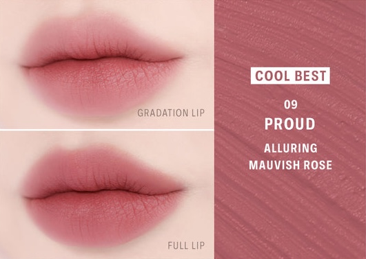 BRAYE Lip Sleek Blur 3.2g