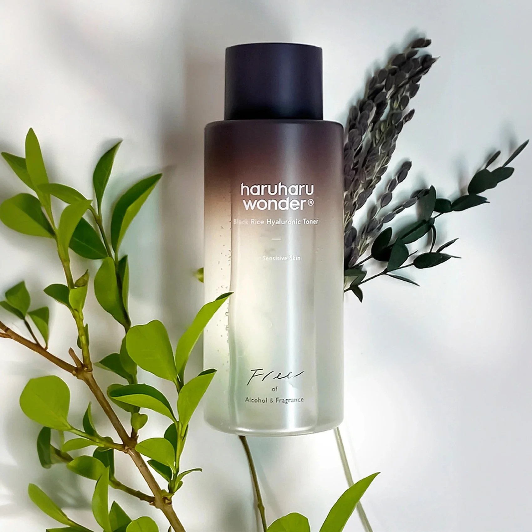 HARUHARU WONDER Black Rice Hyaluronic Toner 150ml