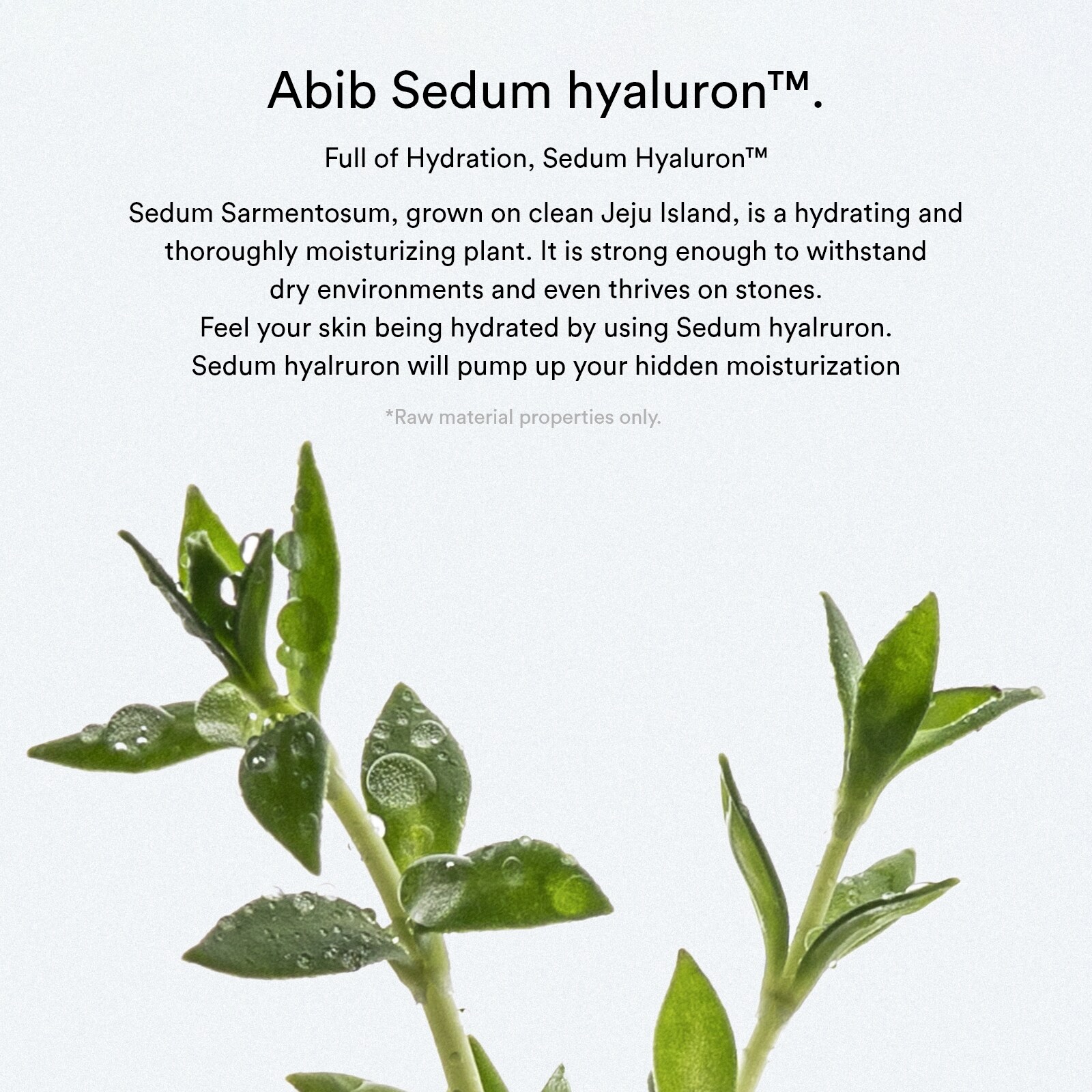 Abib Sedum Hyaluron Pad Hydrating touch