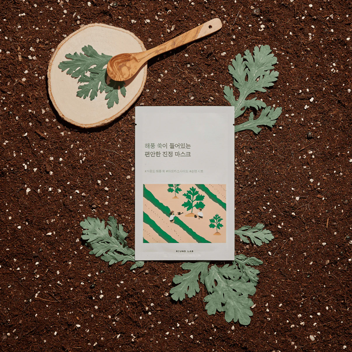Roundlab Mugwort Calming Sheet Mask 10EA