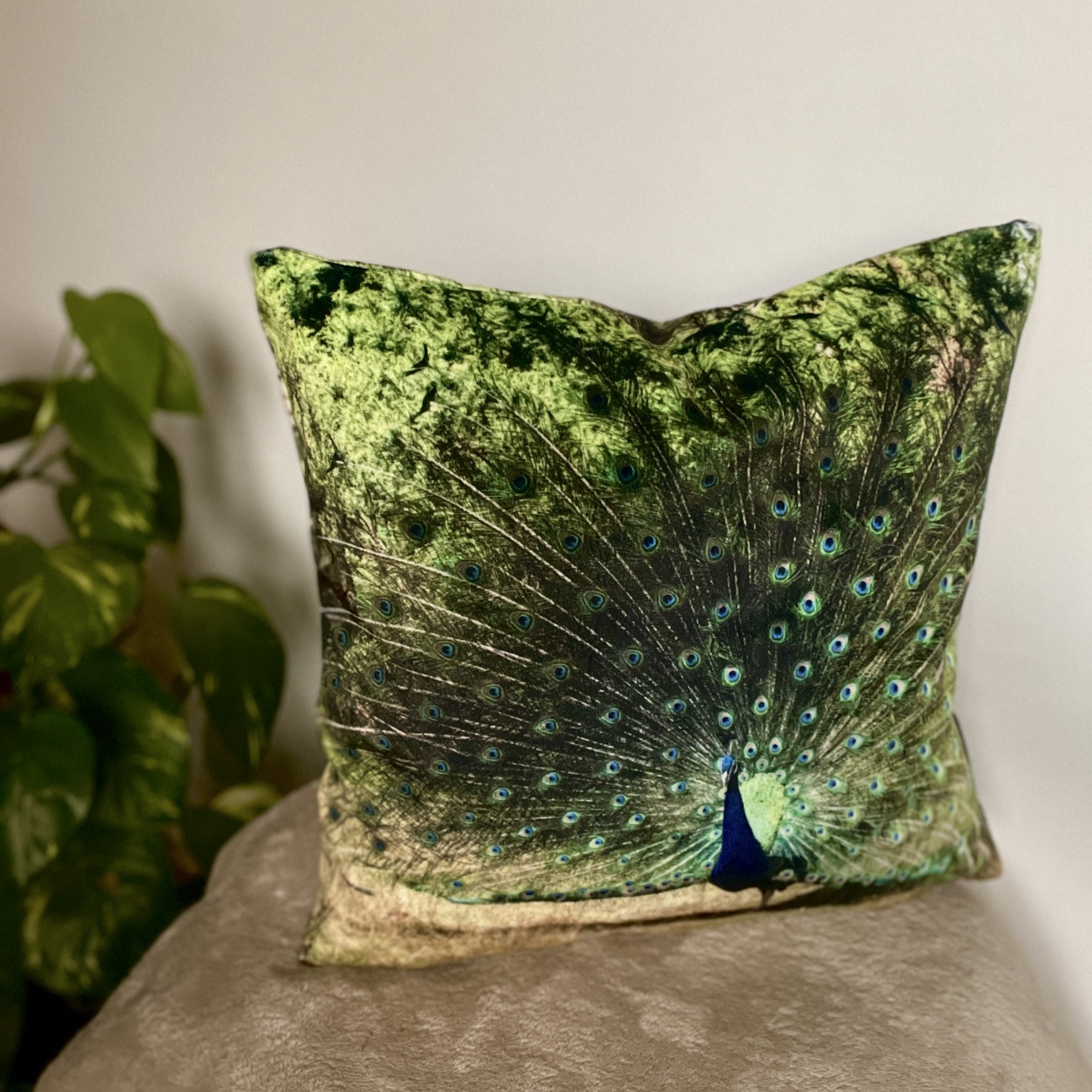 HANDMADE Peacock Feather Photography Reversible Velvet Cushion Cover