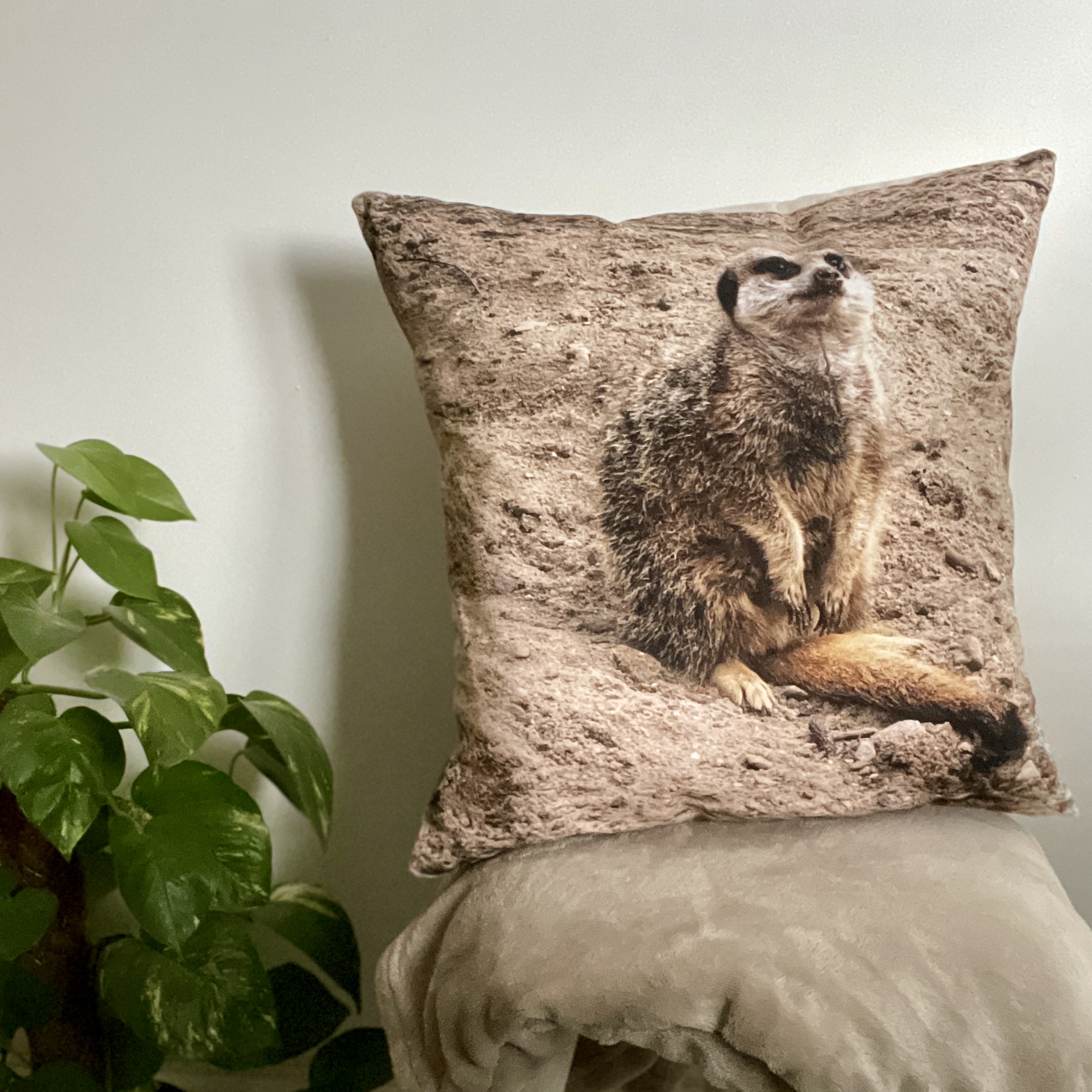 HANDMADE 17x17 Meerkat Photo Beige Cotton Cushion Cover