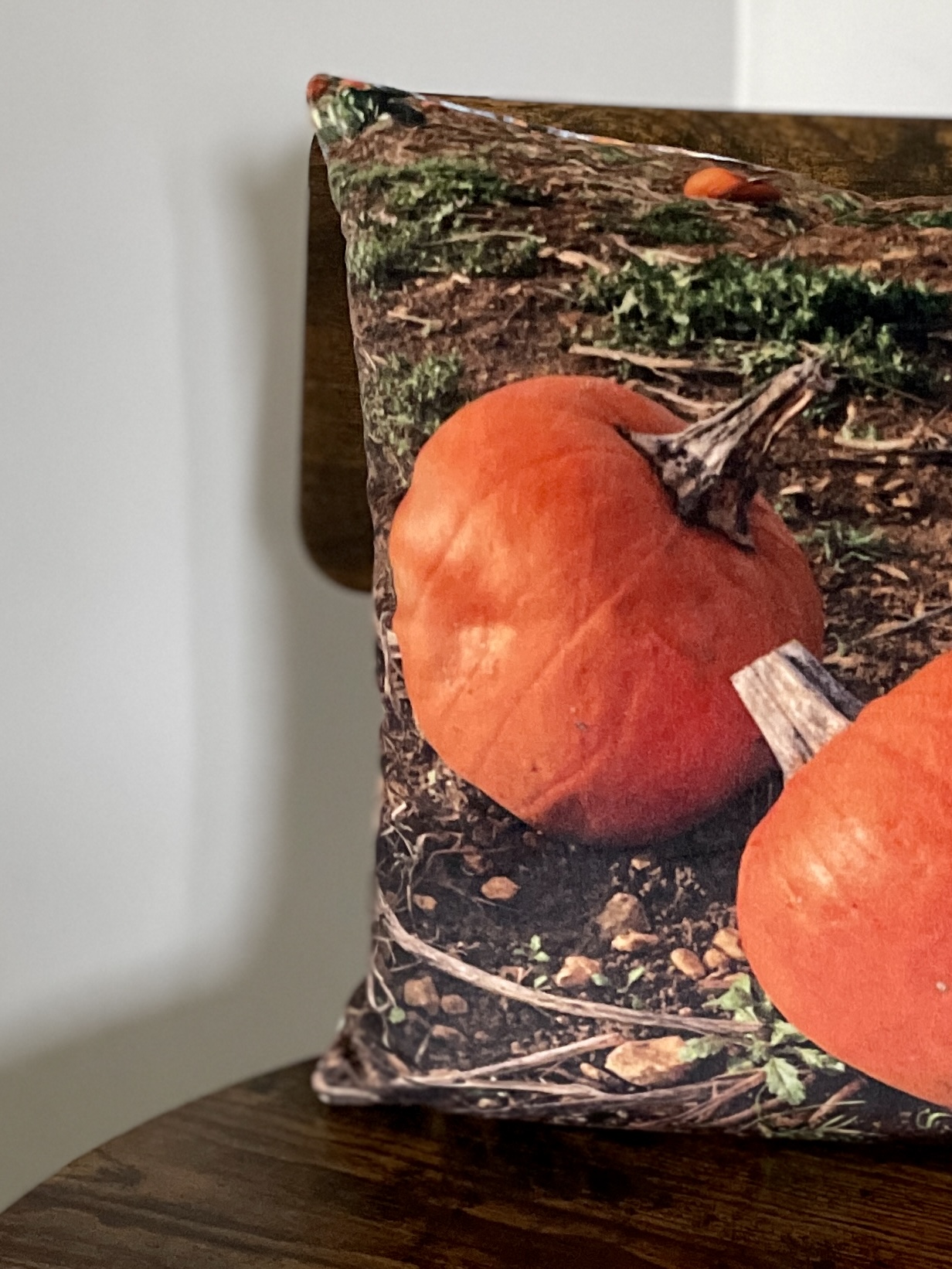 HANDMADE Autumn Leaves/ Pumpkin Velvet Reversible Floral Cushion Cover - Halloween Décor