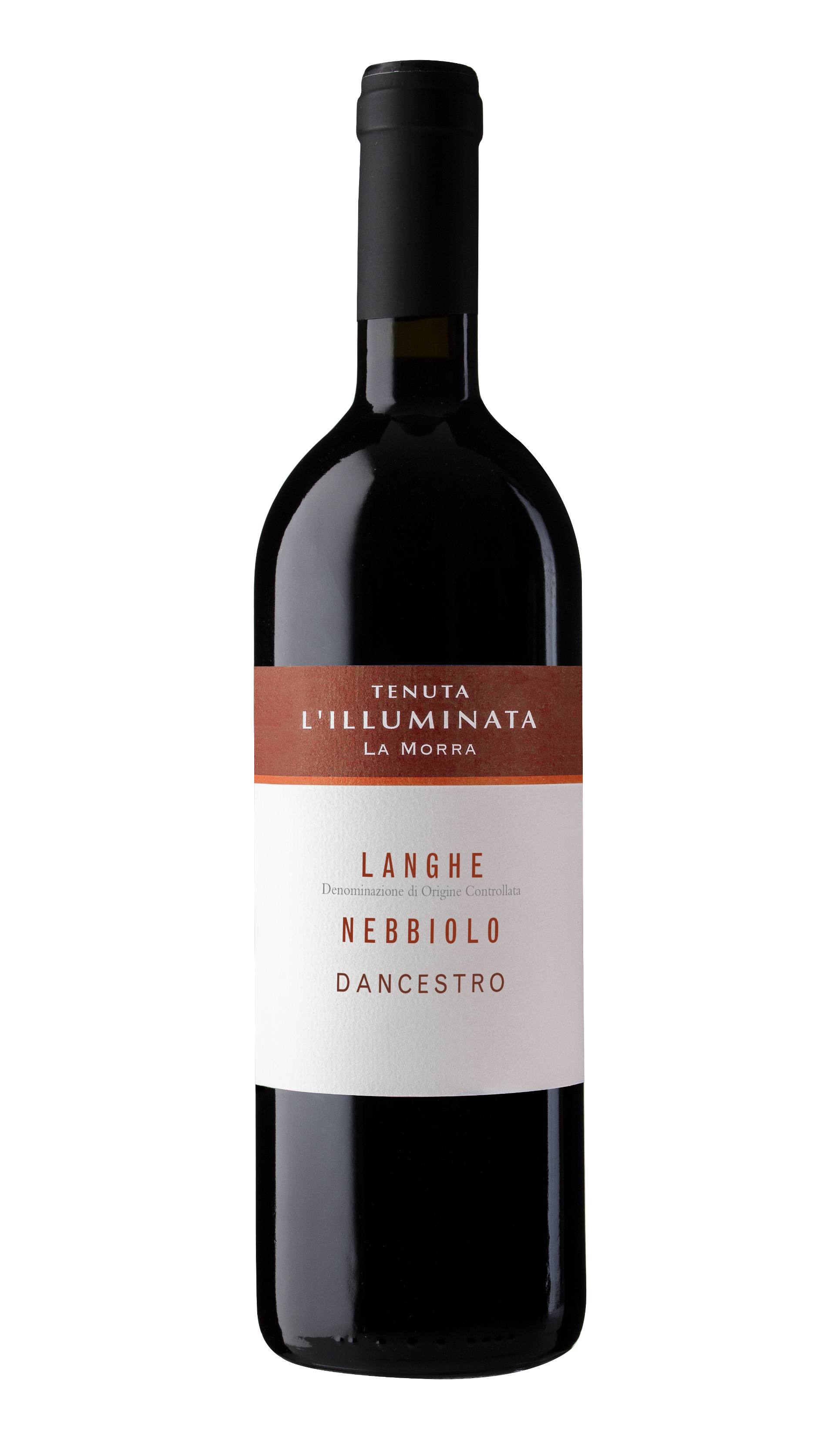 Langhe Nebbiolo DOC